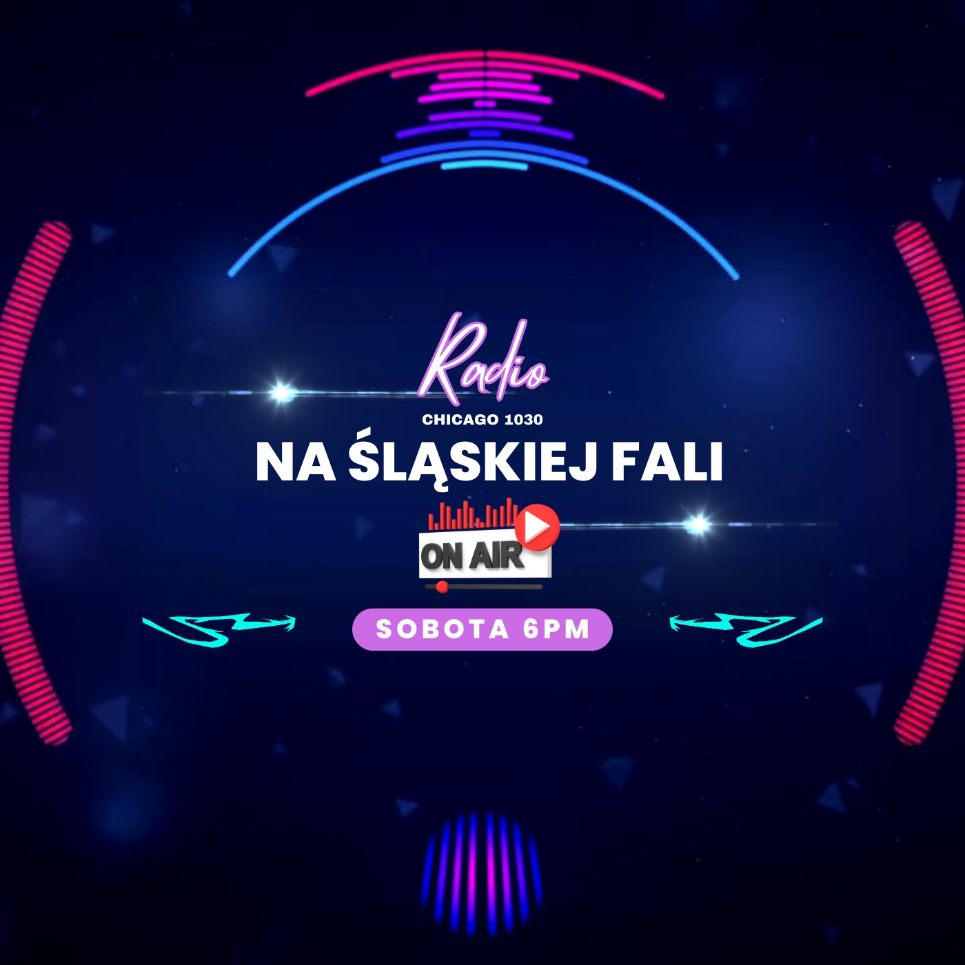 Karnawał 2024 Na Śląskiej Fali w Chicago episode artwork