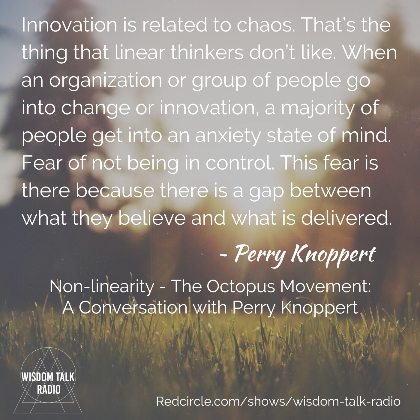 Nonlinearity and The Octopus Movement: a Conversation with Perry Knoppert