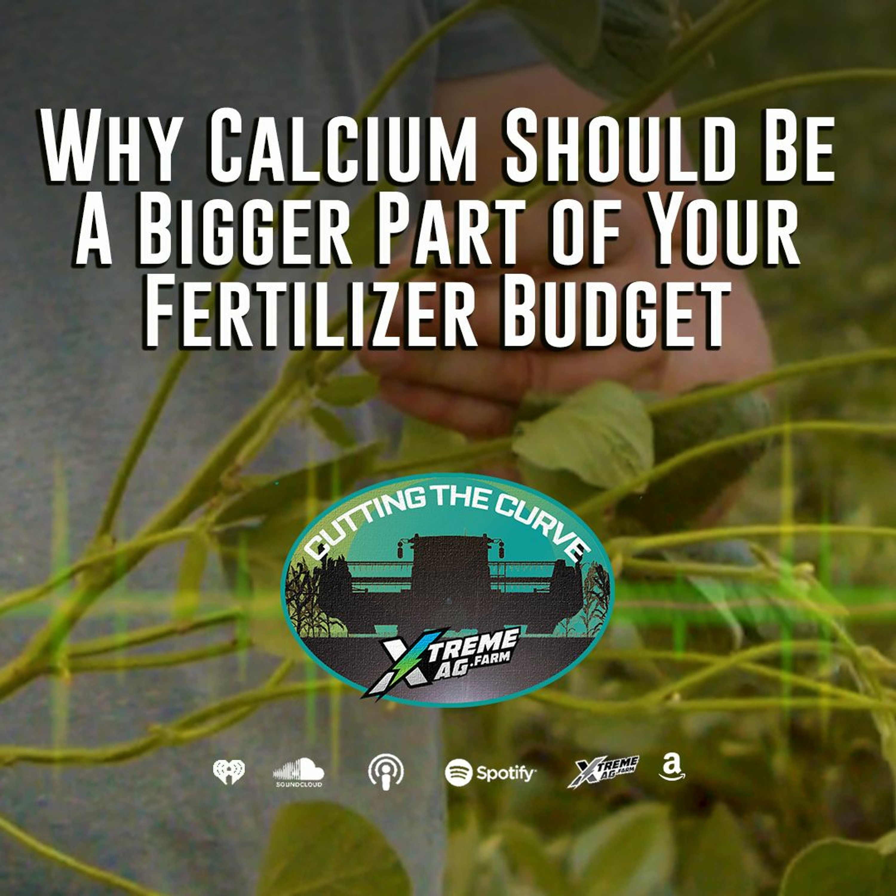Why Calcium Should Be A Bigger Part of Your Fertilizer Budget episode artwork
