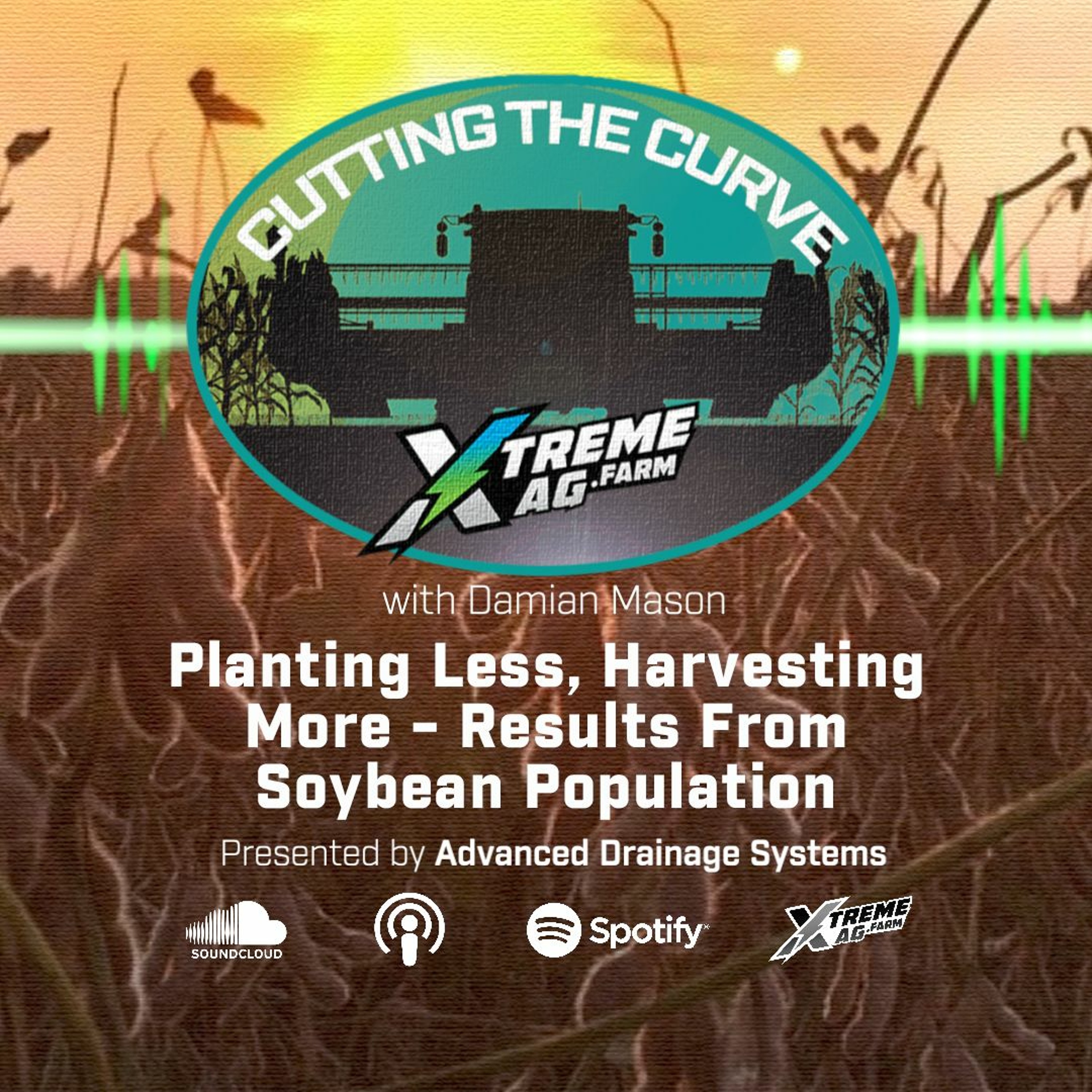 Planting Less, Harvesting More — Results From Soybean Population Reduction episode artwork
