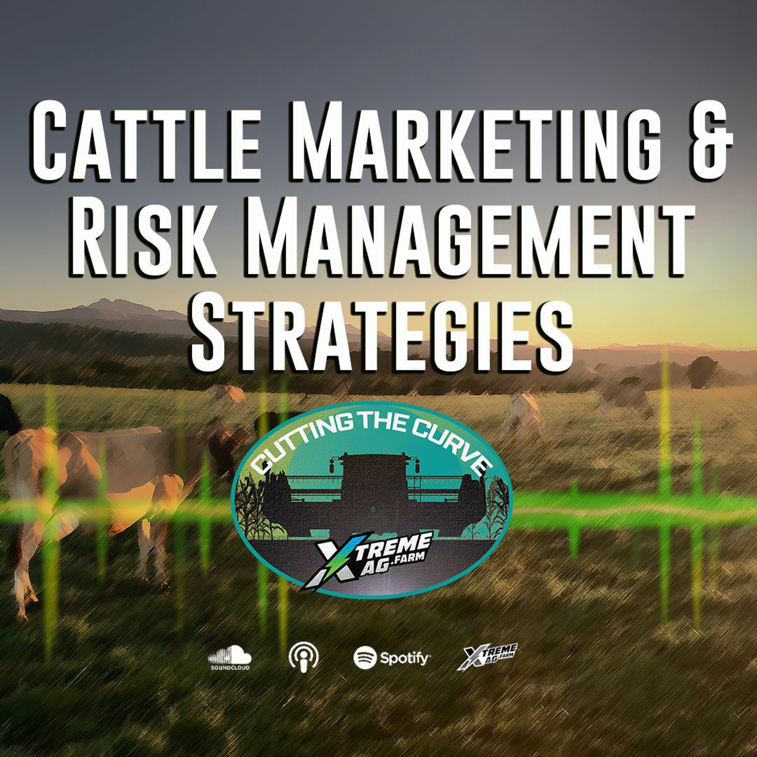 Cattle Marketing and Risk Management Strategies episode artwork