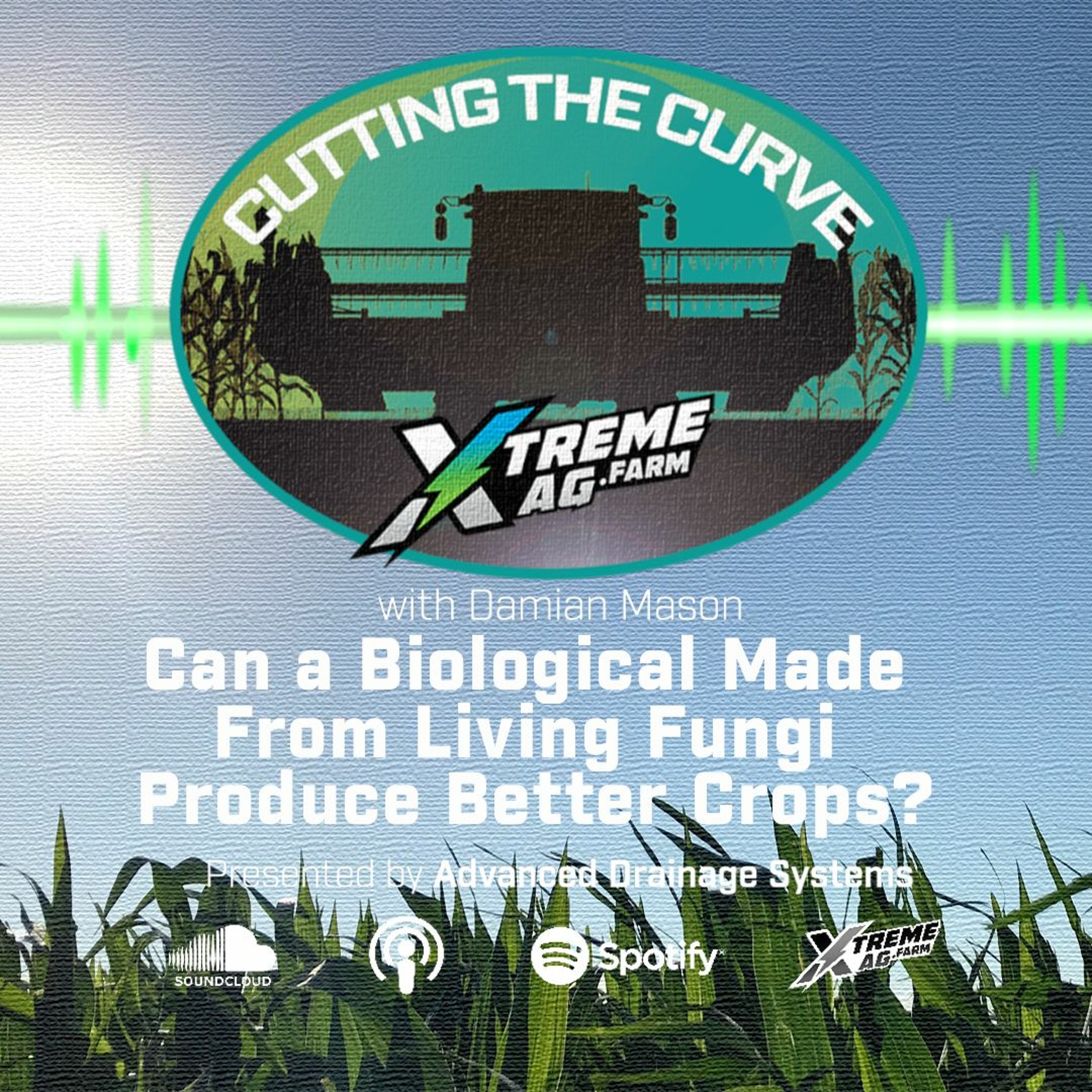 Can A Biological Made From Living Fungi Produce Better Crops? episode artwork