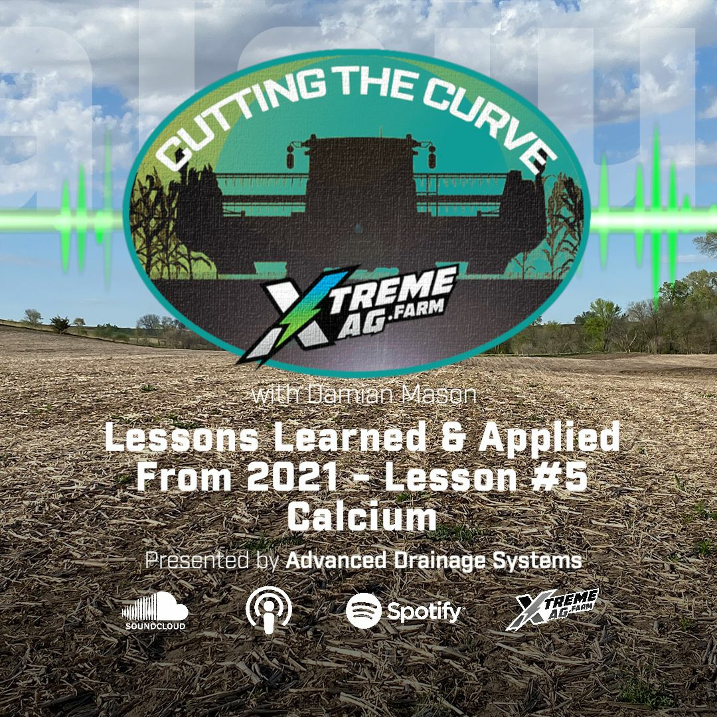 Lessons Learned & Applied From 2021- Lesson #5- Calcium episode artwork