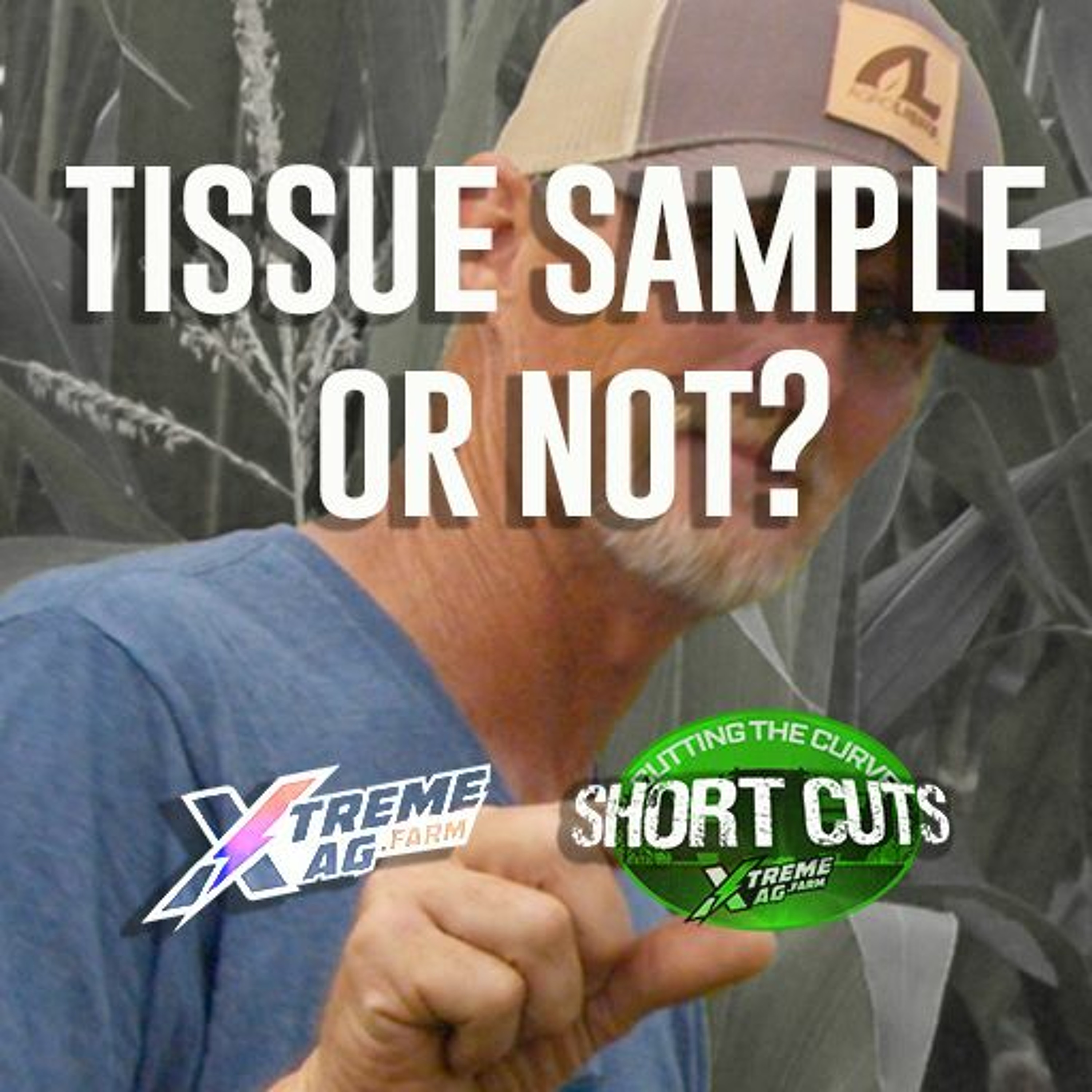 Short Cuts - To Tissue Sample Or Not? episode artwork