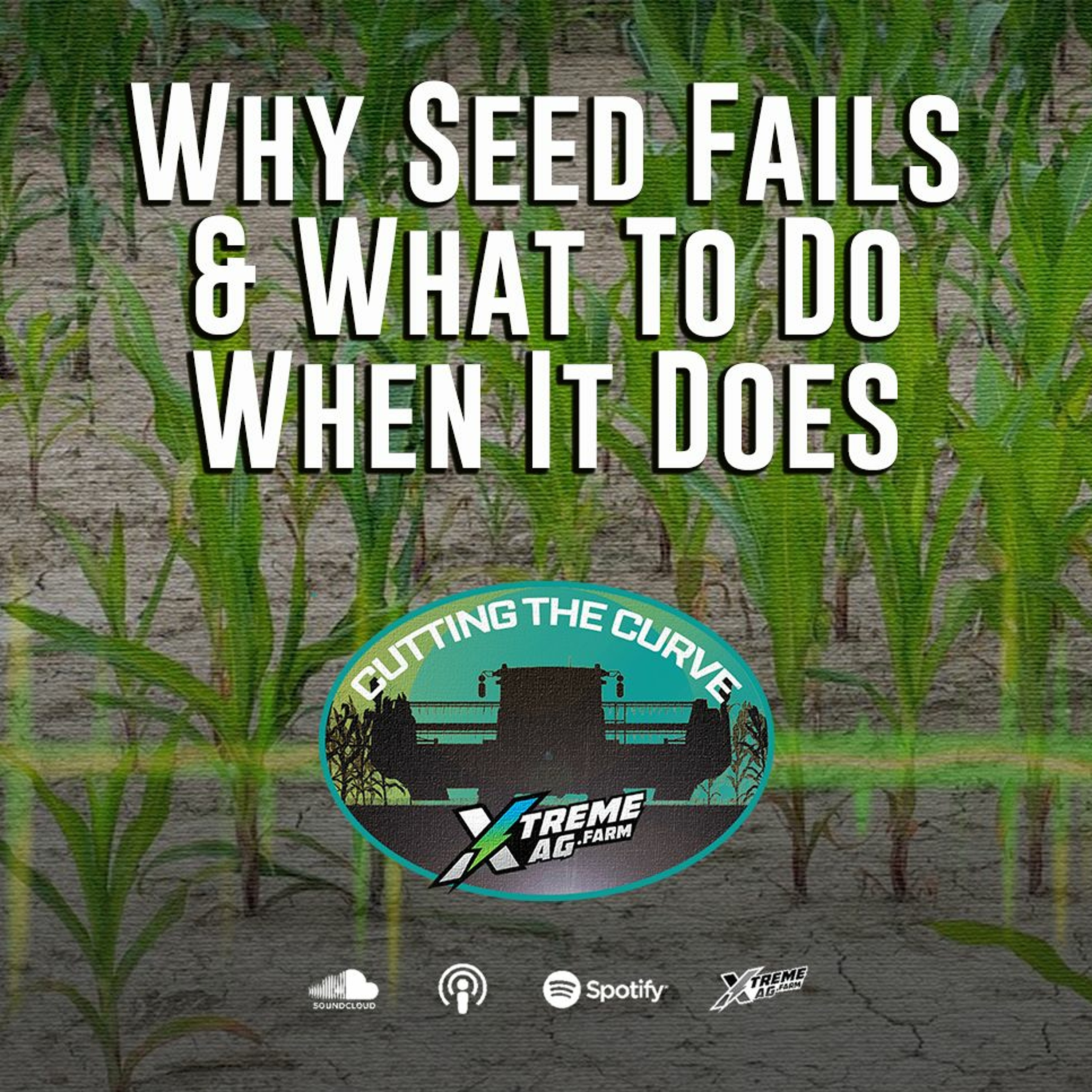 Why Seed Fails & What To Do When It Does episode artwork