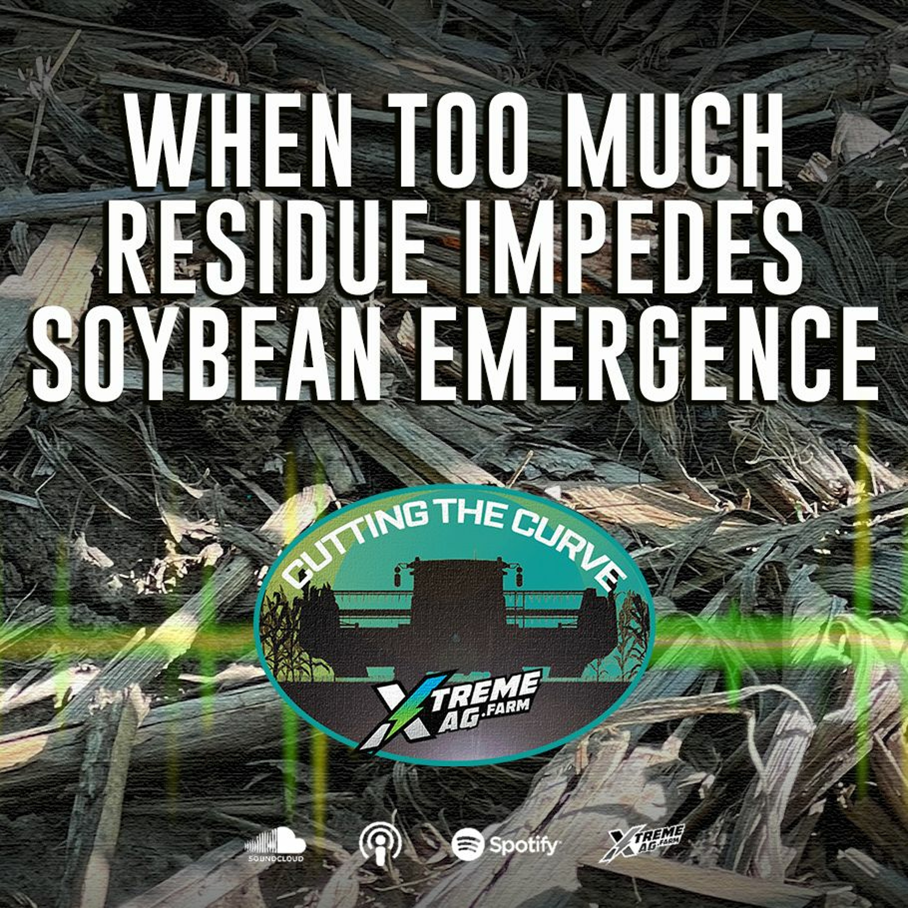 When Too Much Residue Impedes Soybean Emergence episode artwork