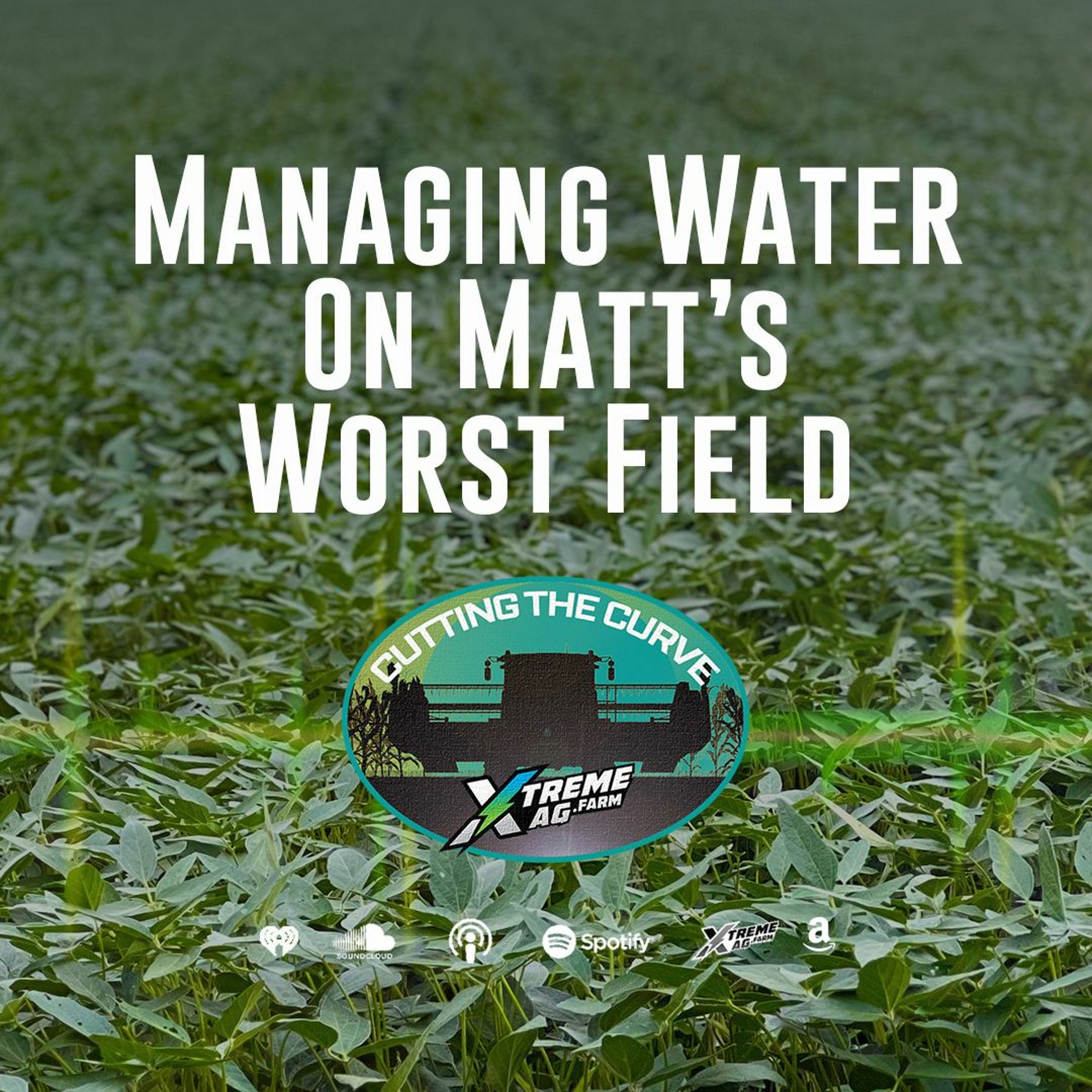 Managing Water On Matt’s Worst Field — The Trial Continues episode artwork