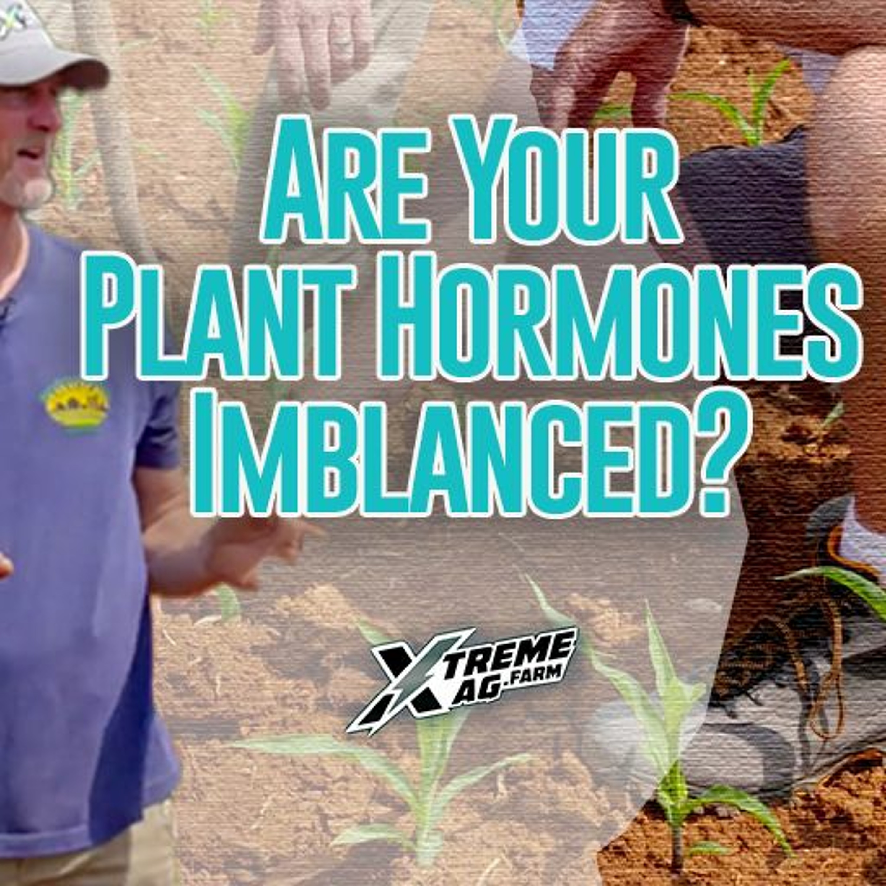 Are Your Plant Hormones Imbalanced? episode artwork