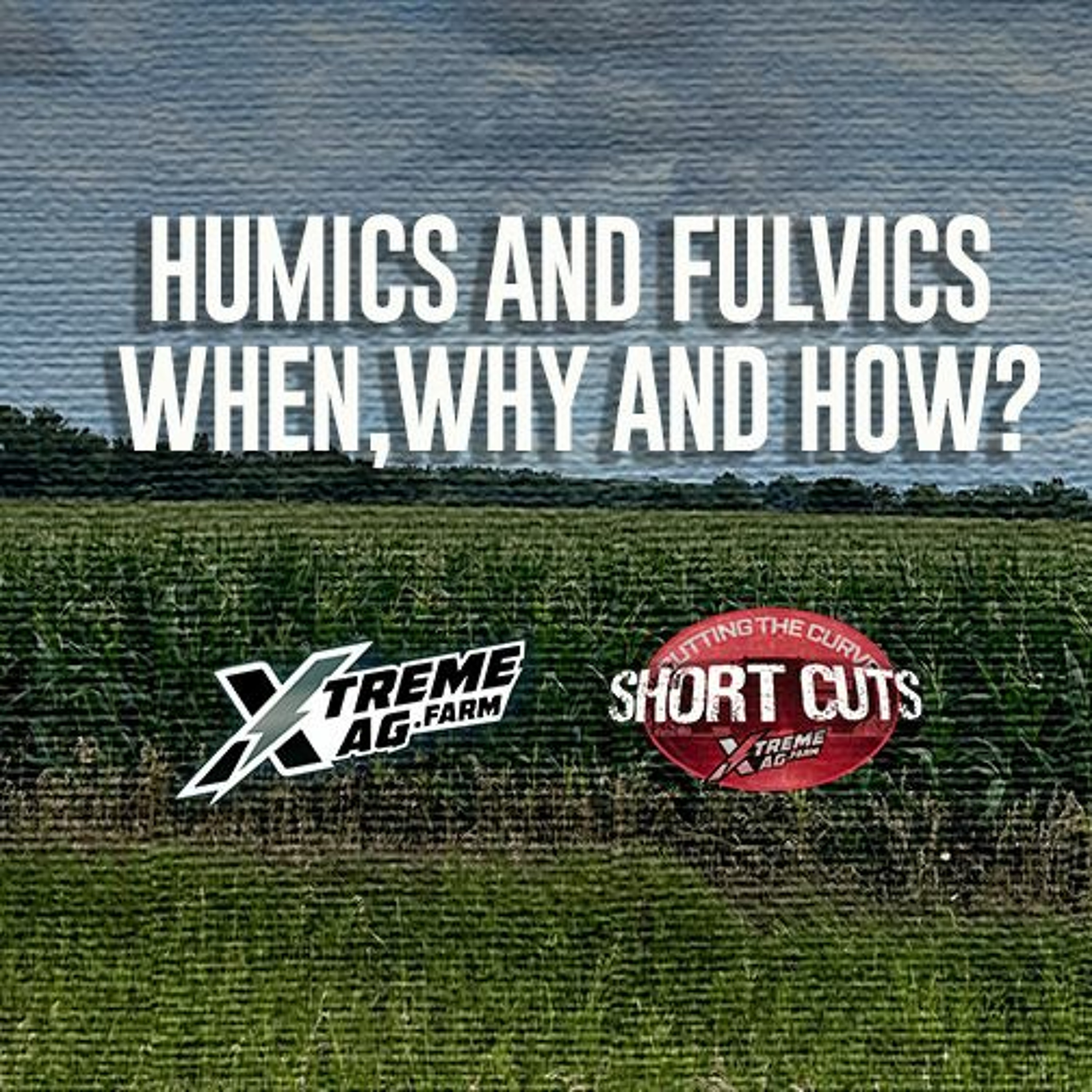 Humics and Fulvics. When, Why and How? episode artwork
