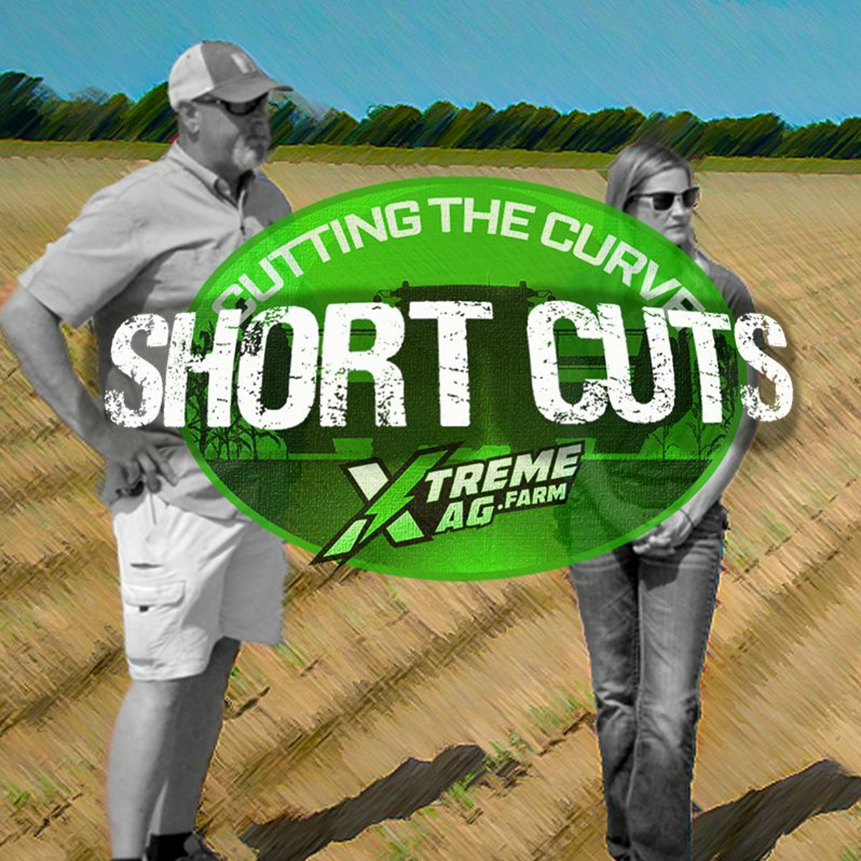 Short Cuts: Finding The Right In-Furrow Program For Cotton episode artwork