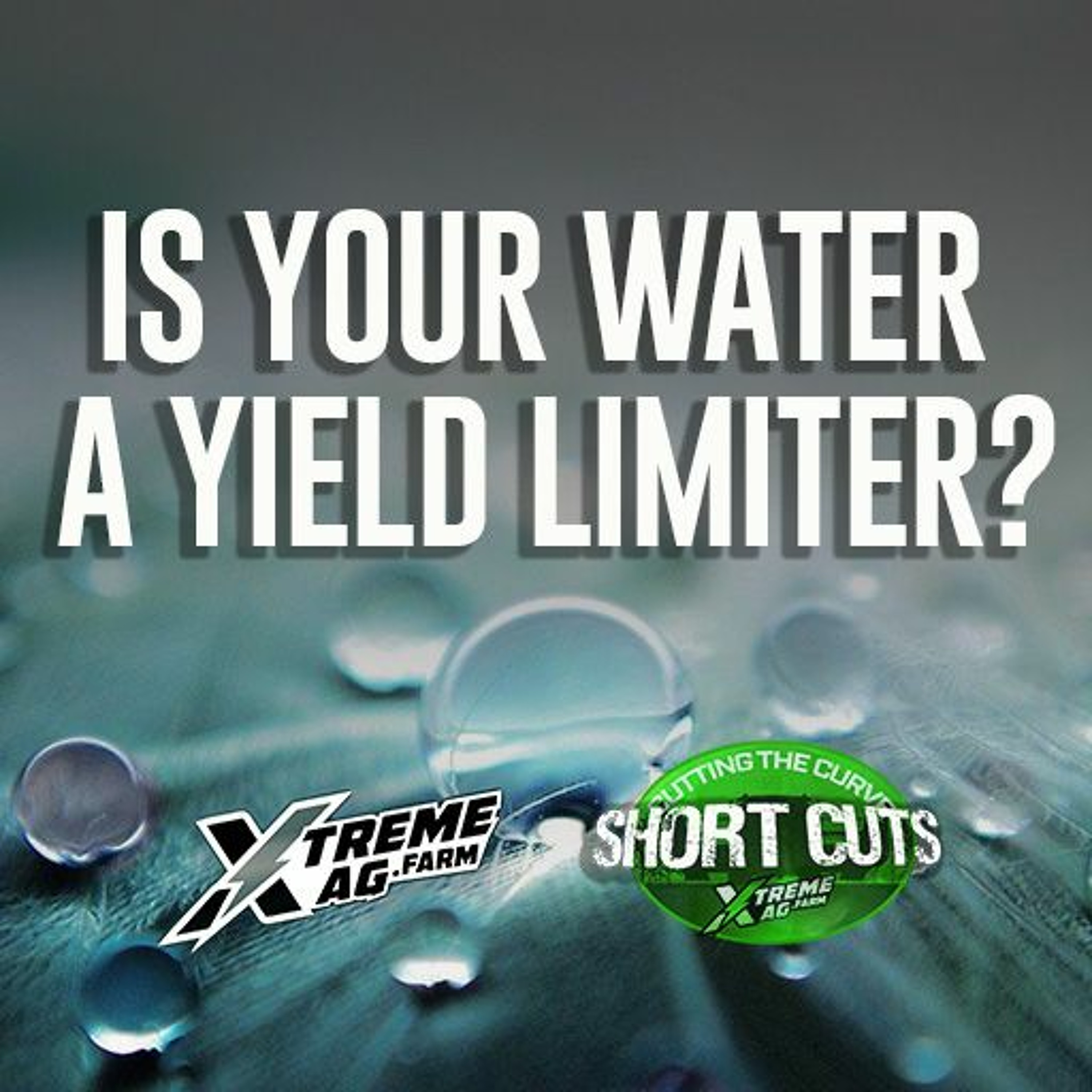 Are you losing yield in your water? episode artwork