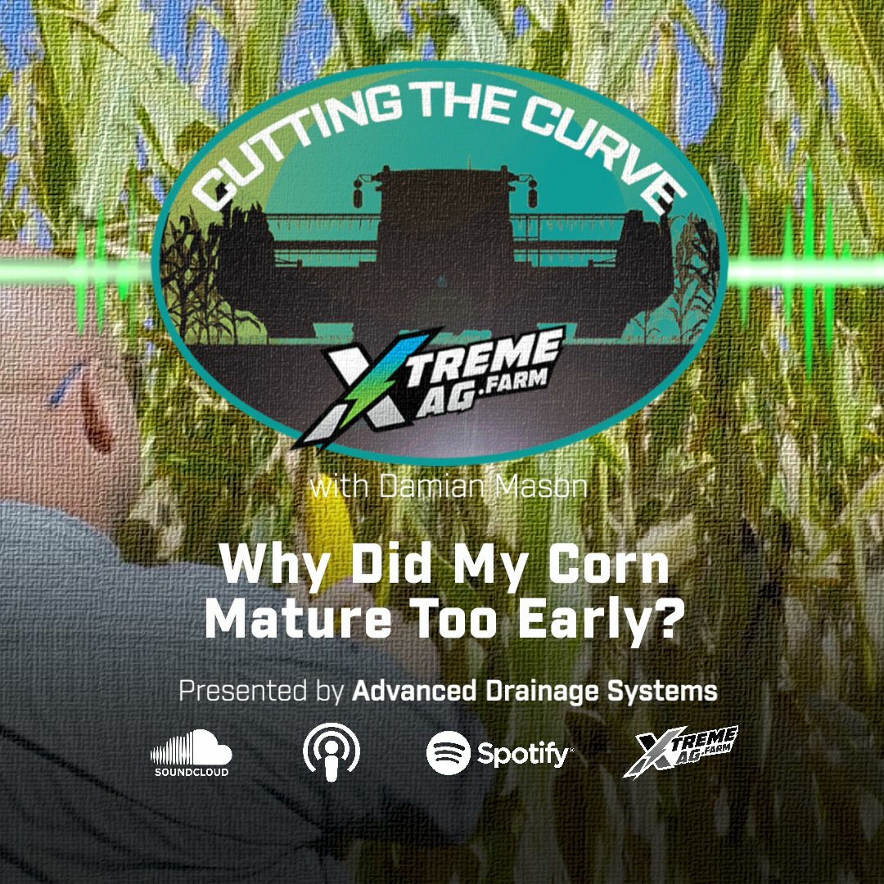 Why Did My Corn Mature Too Early? episode artwork