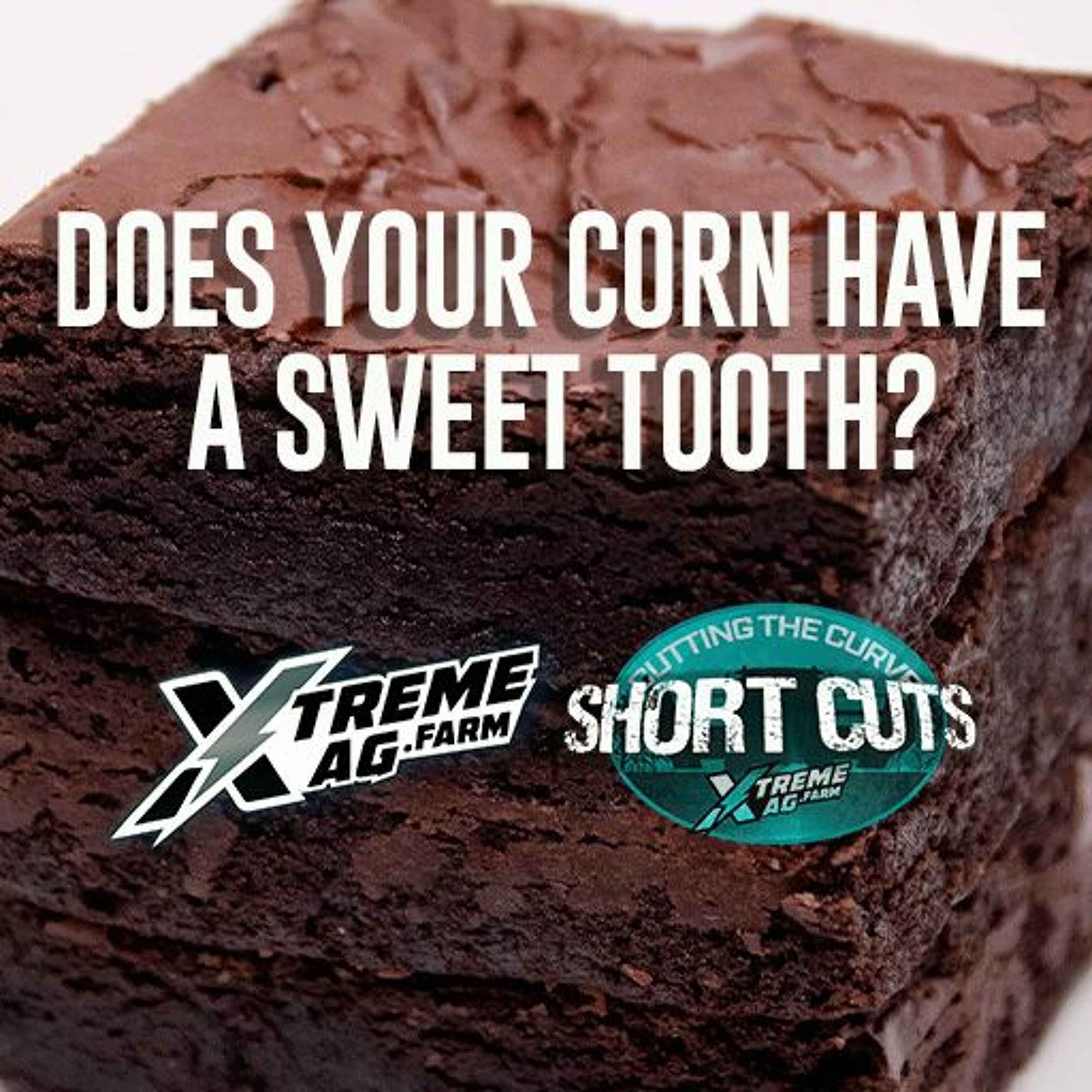 Short Cuts - Your Corn Wants Sugar episode artwork