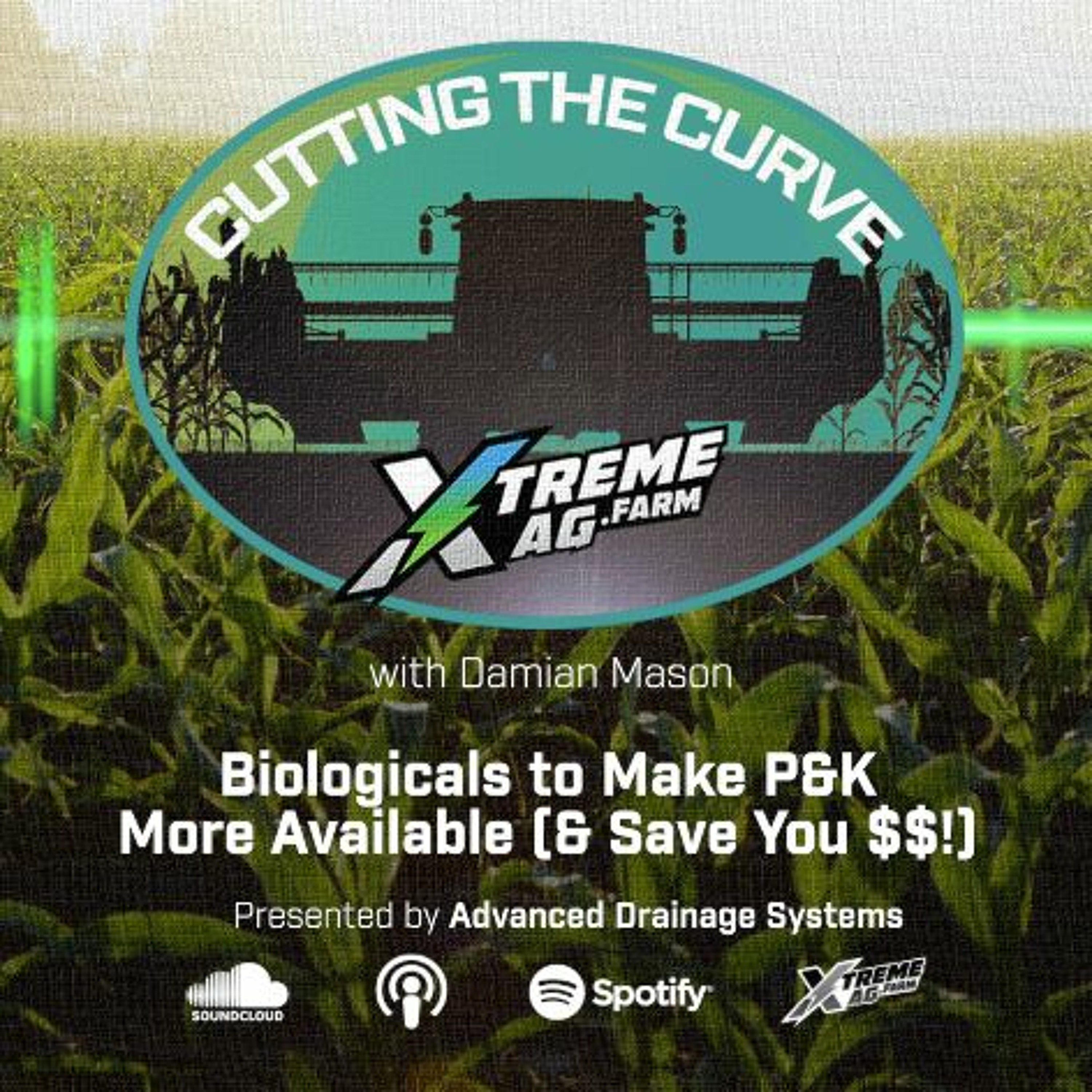 Biologicals To Make P&K More Available (& Save You $$!) episode artwork