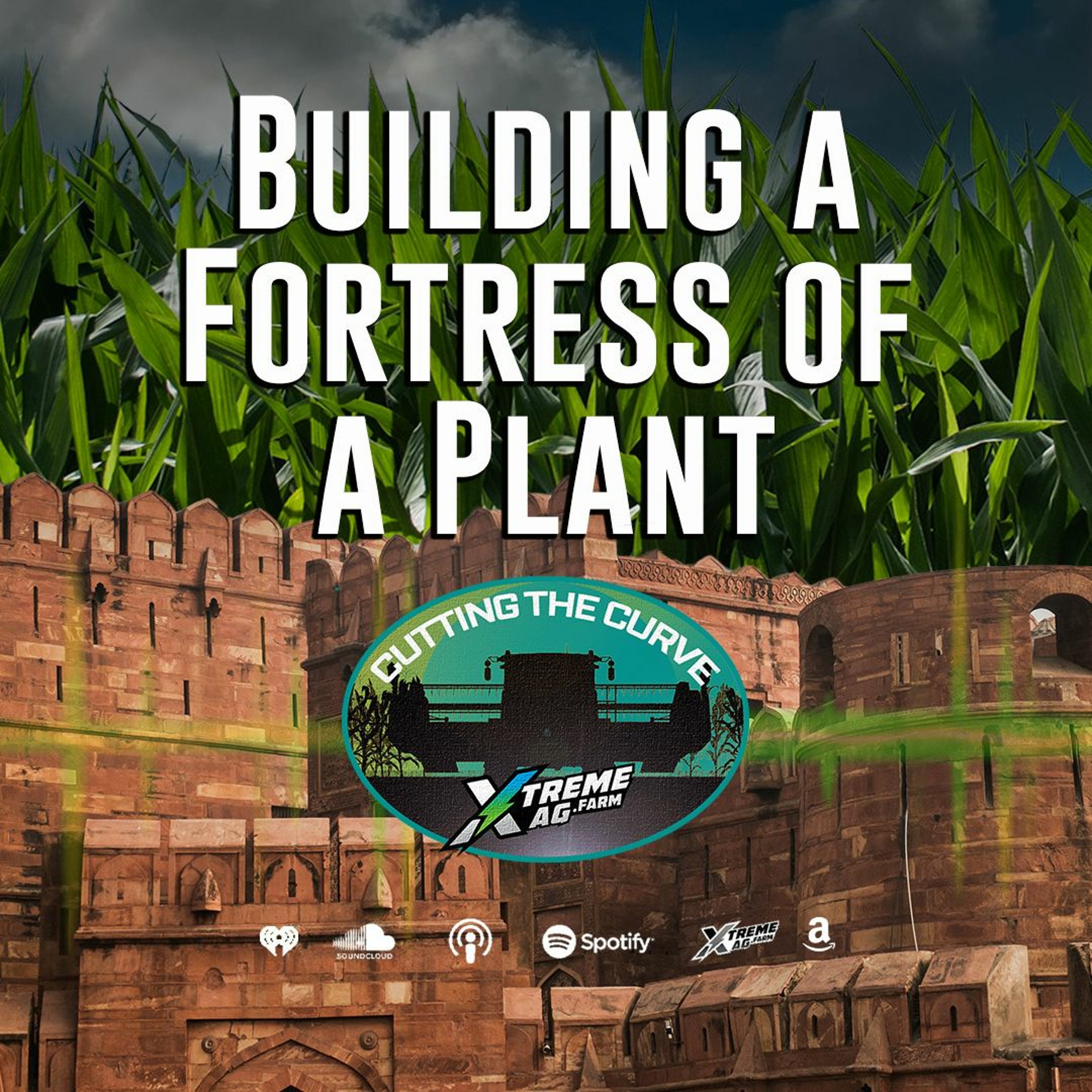 Building a Fortress of a Plant — Temple’s Focus in 2023 episode artwork