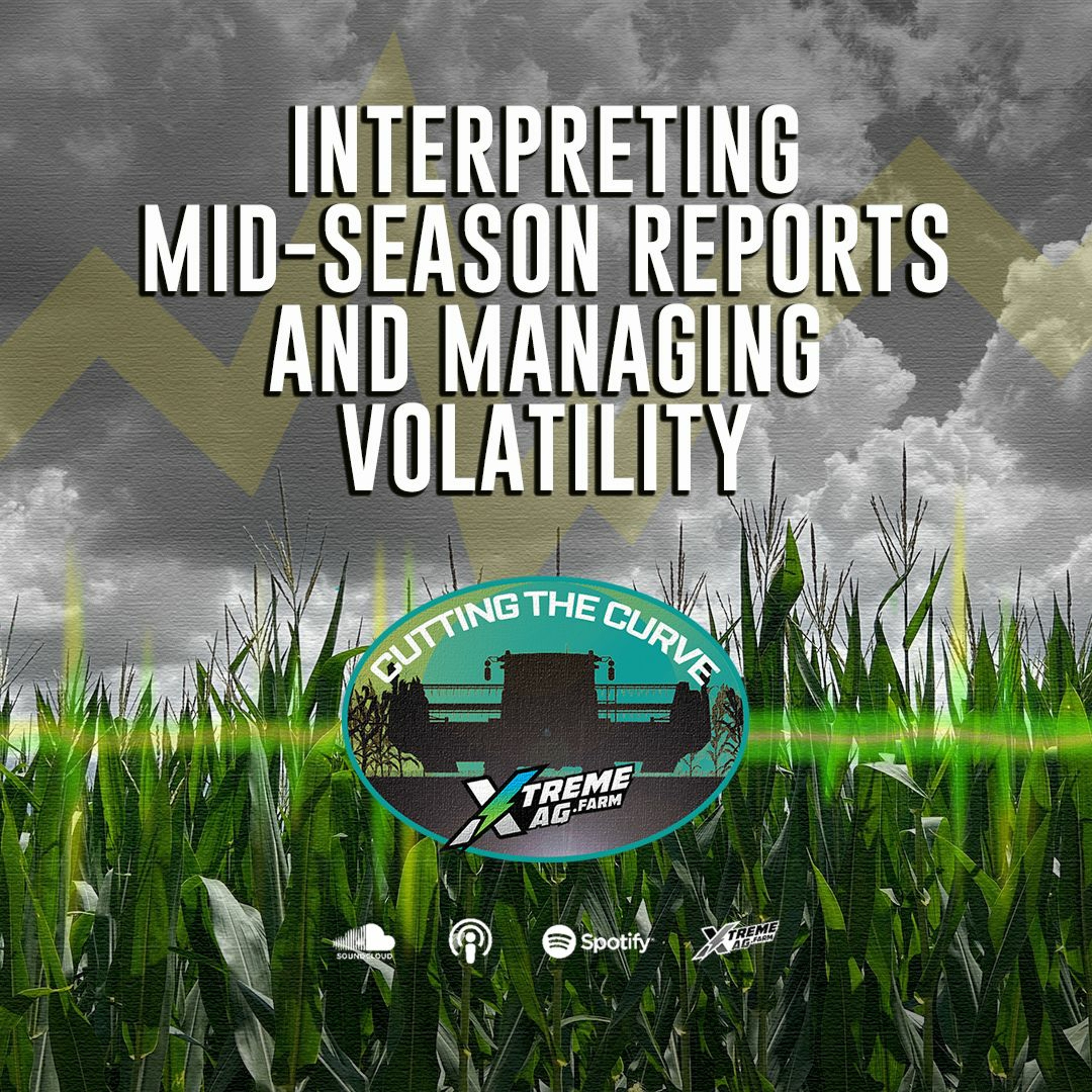 Interpreting Mid-Season Reports and Managing Volatility episode artwork