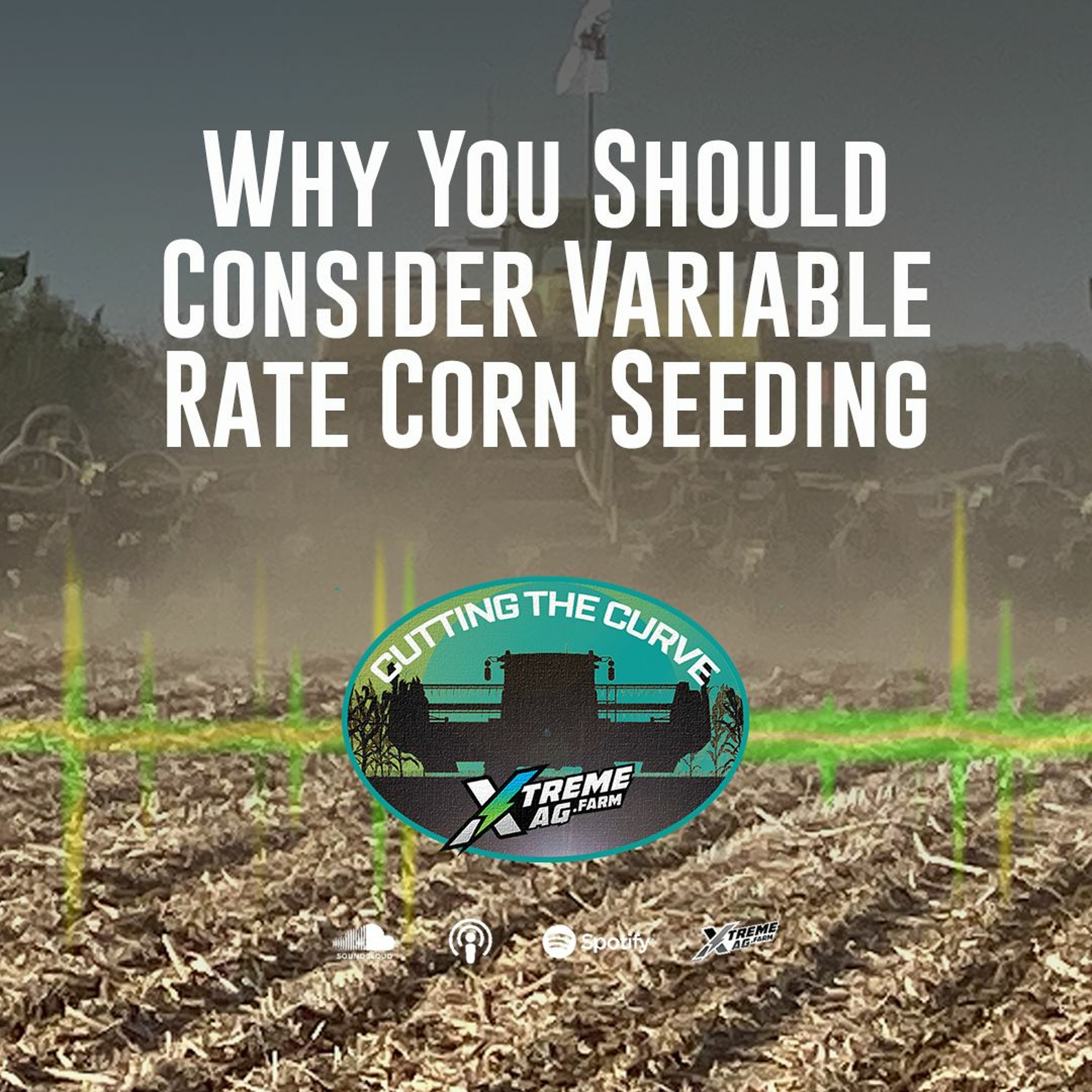 Why You Should Consider Variable Rate Corn Seeding episode artwork