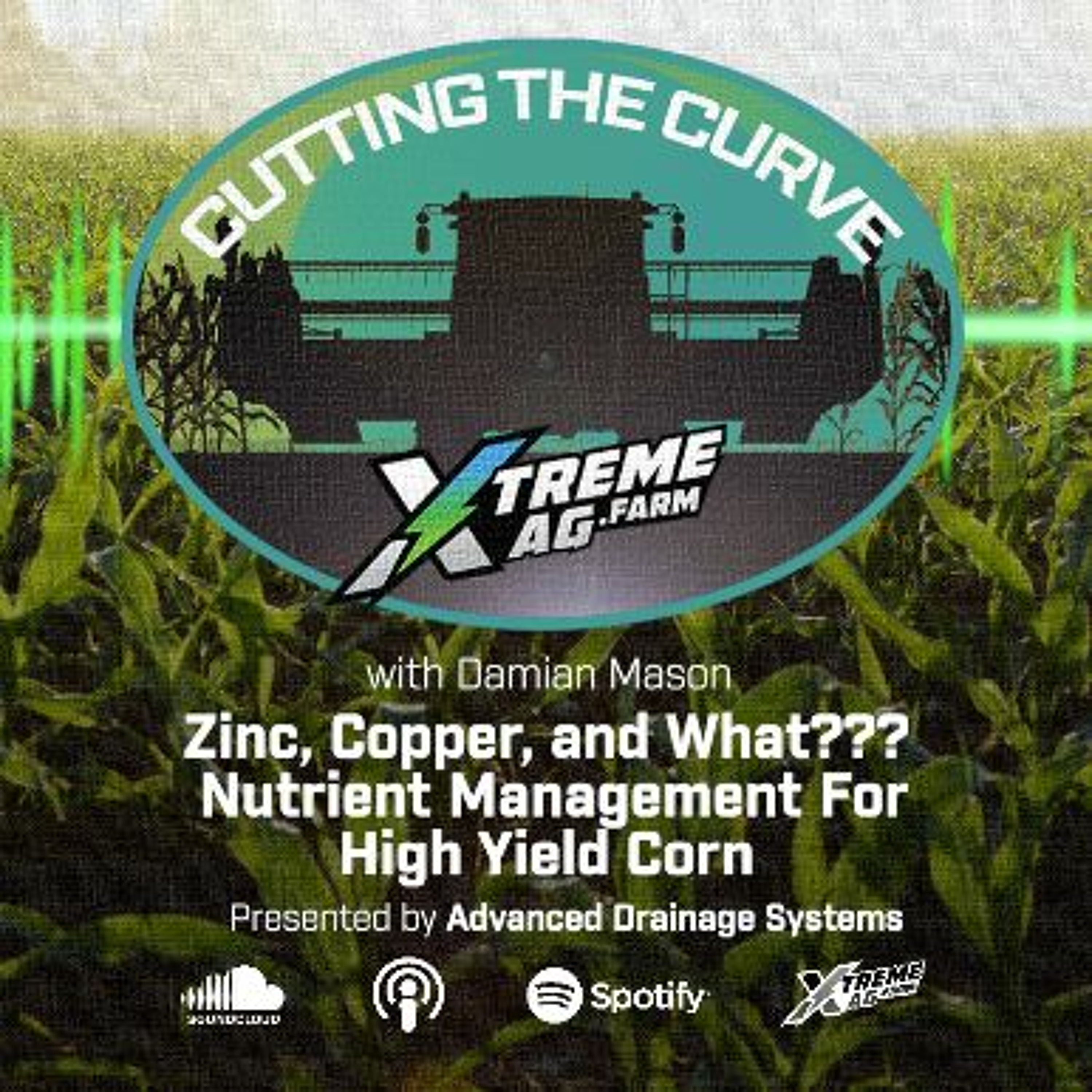 Zinc, Copper, and What???  — Nutrient Management For High Yield Corn episode artwork