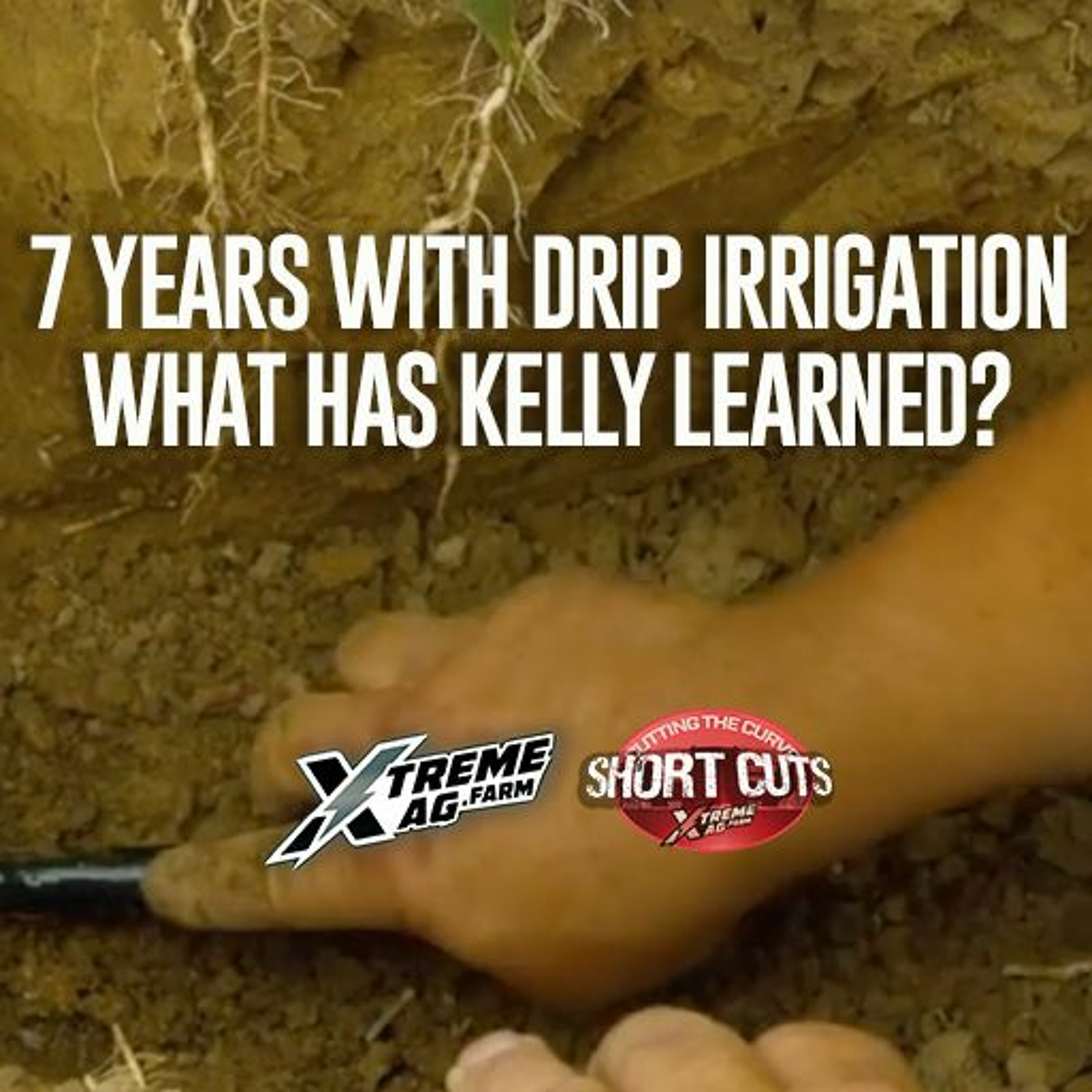 7 Years with Drip Irrigation: What Has Kelly Learned? episode artwork