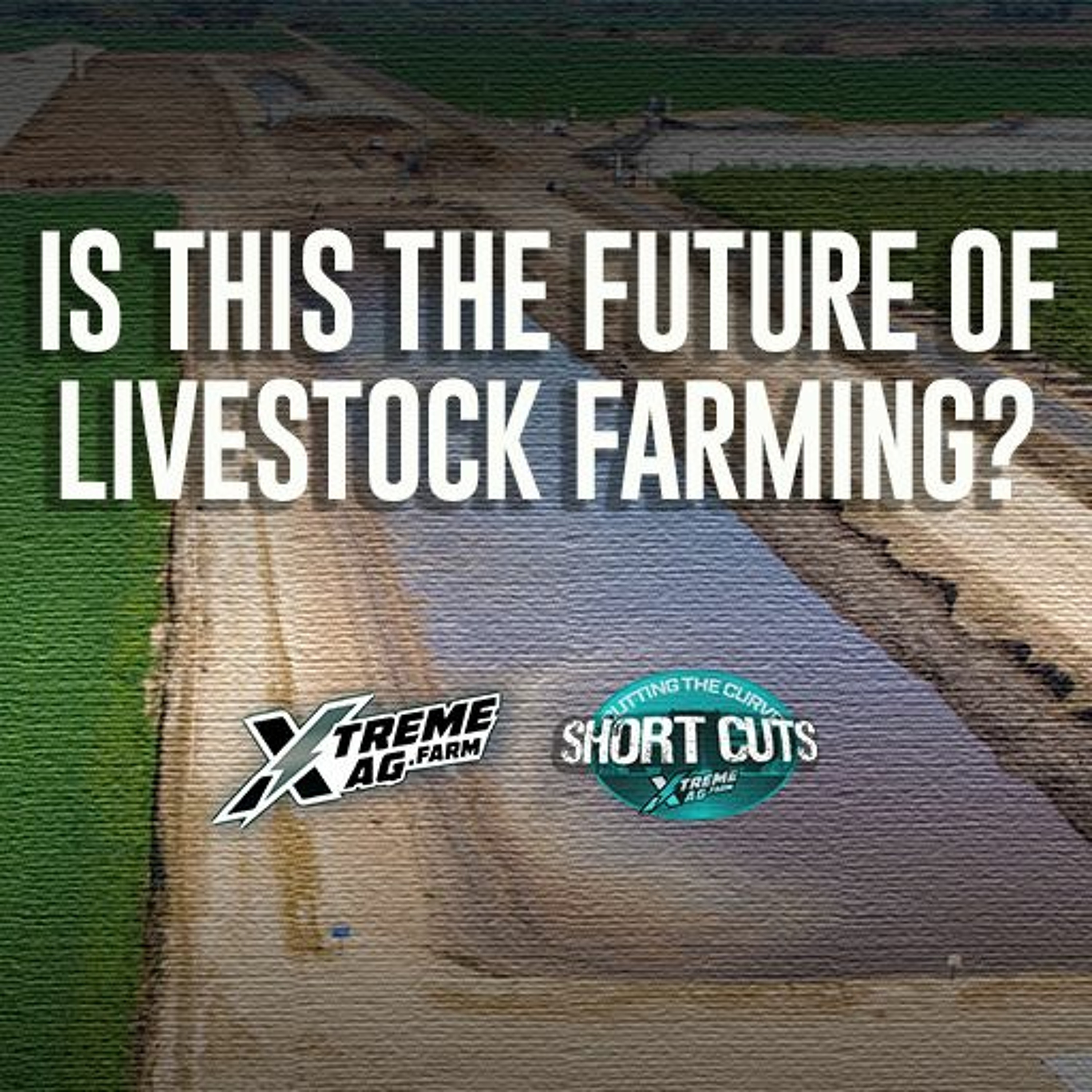 Is this the future of livestock farming? episode artwork