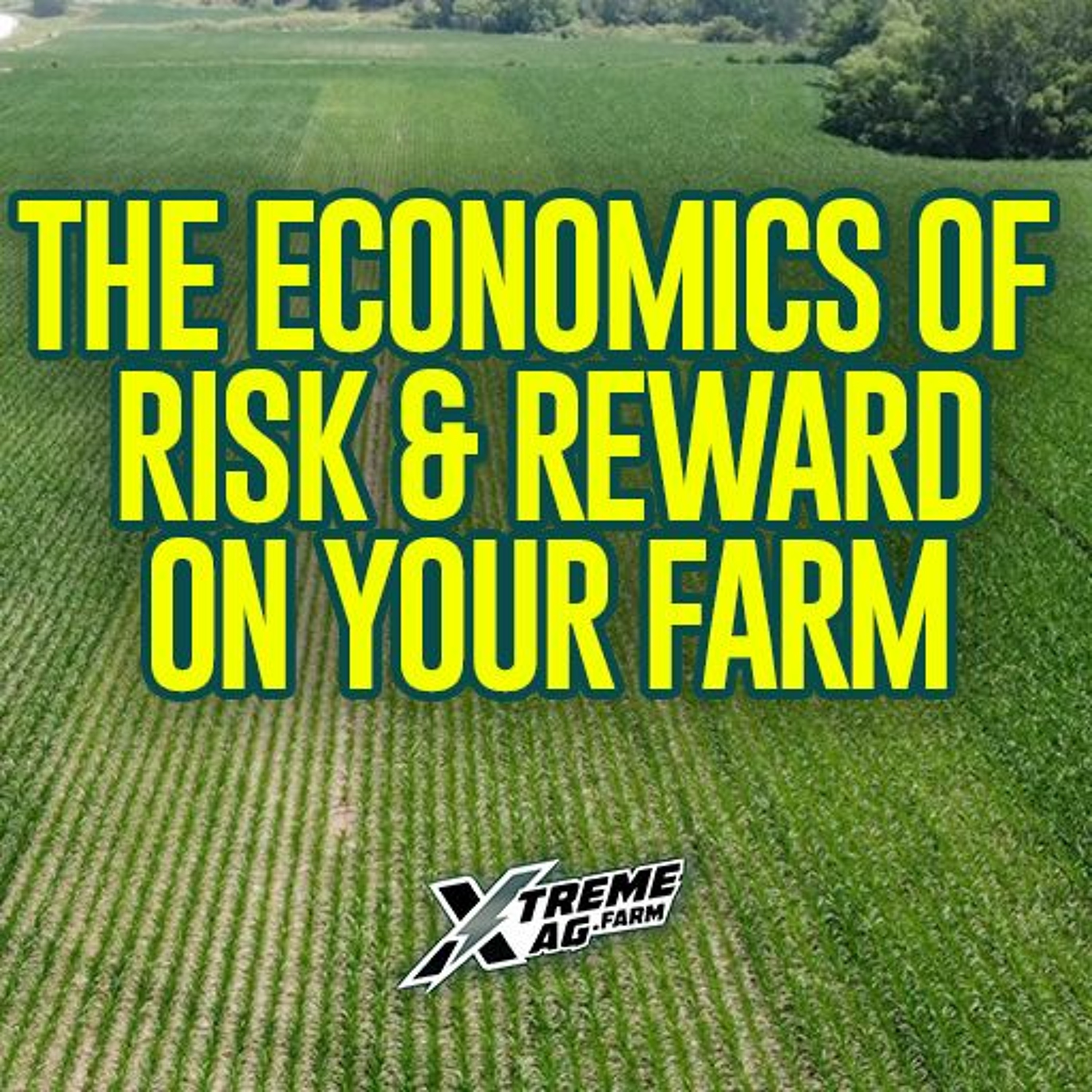 Risk and Reward: The Economics of Big Decision Making episode artwork