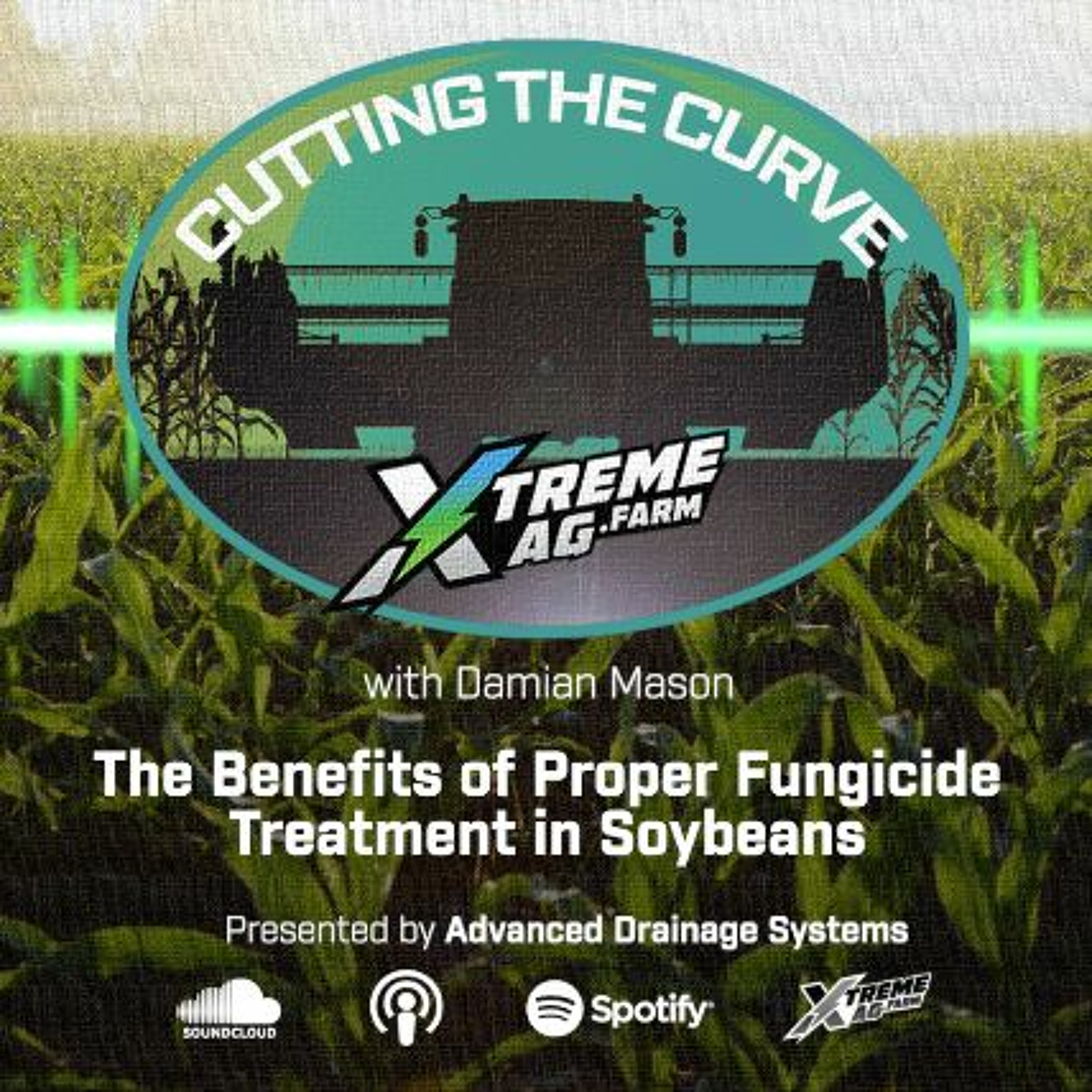 The Benefits Of Proper Fungicide Treatment In Soybeans episode artwork