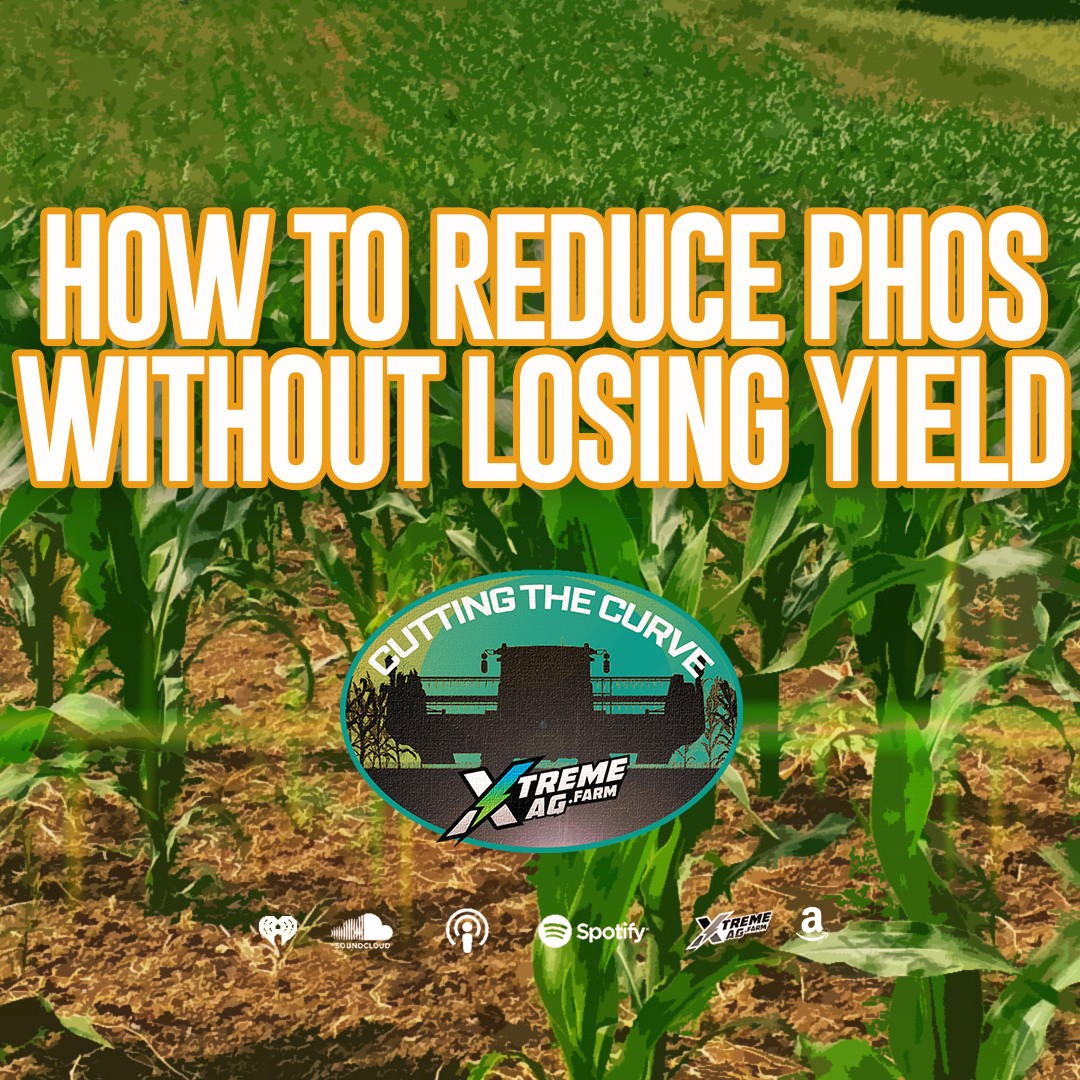 Why You Should Reduce Phosphorous Application Rates & How To Do It Without Sacrificing Yield episode artwork
