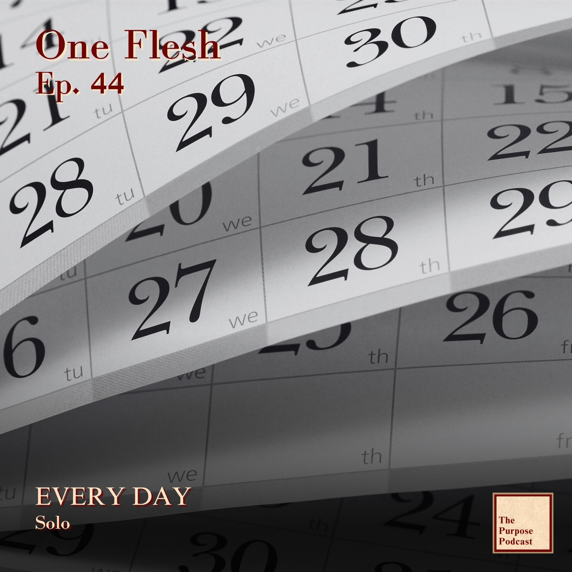 One Flesh Ep. 44 - EVERY DAY | Solo episode artwork