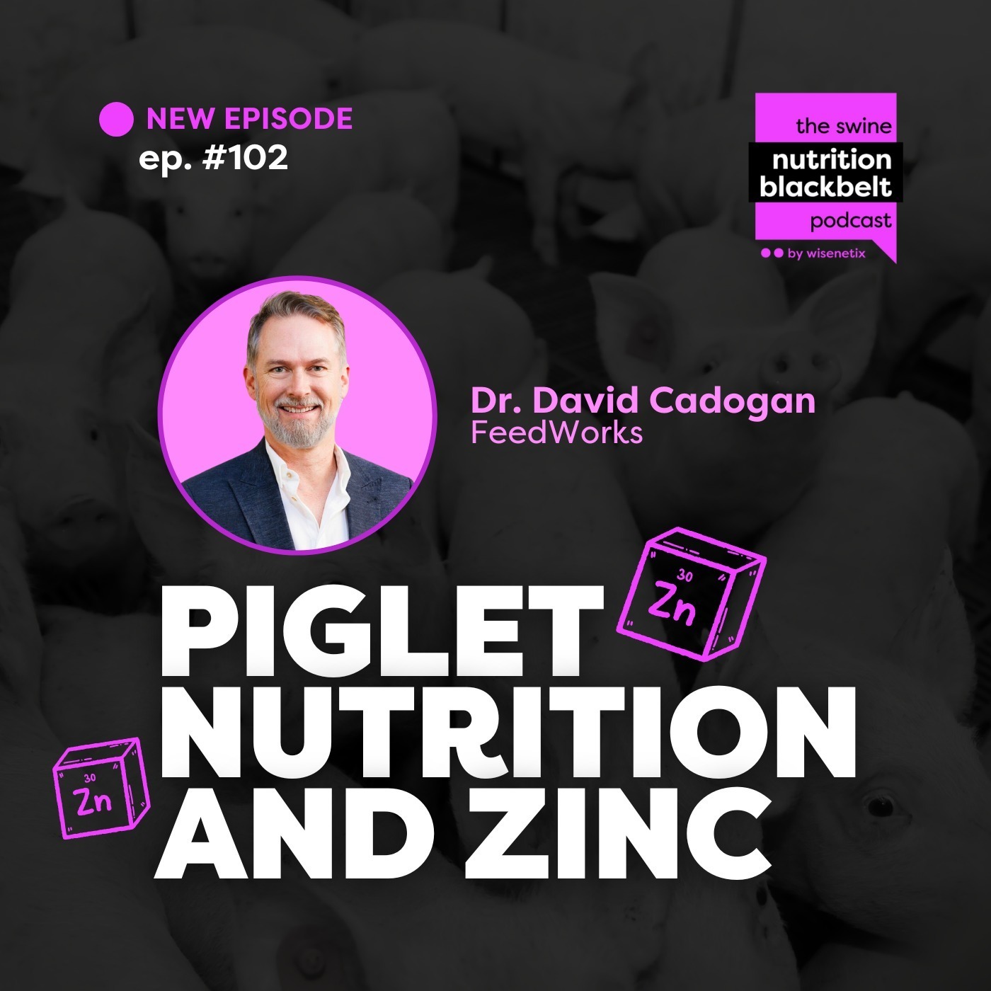 Dr. David Cadogan: Piglet Nutrition and Zinc | Ep.102