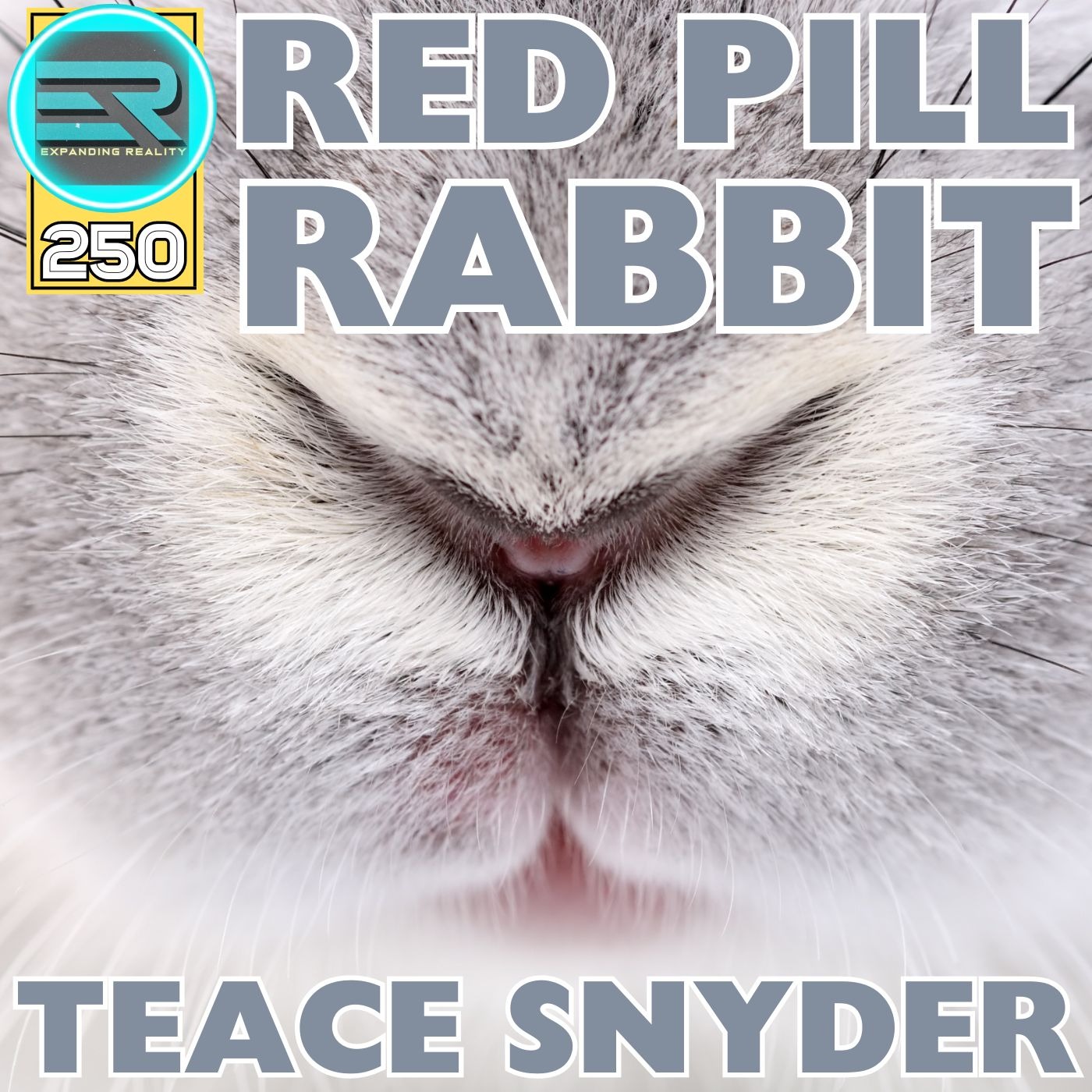 250 | Teace Snyder | Red Pill Rabbit