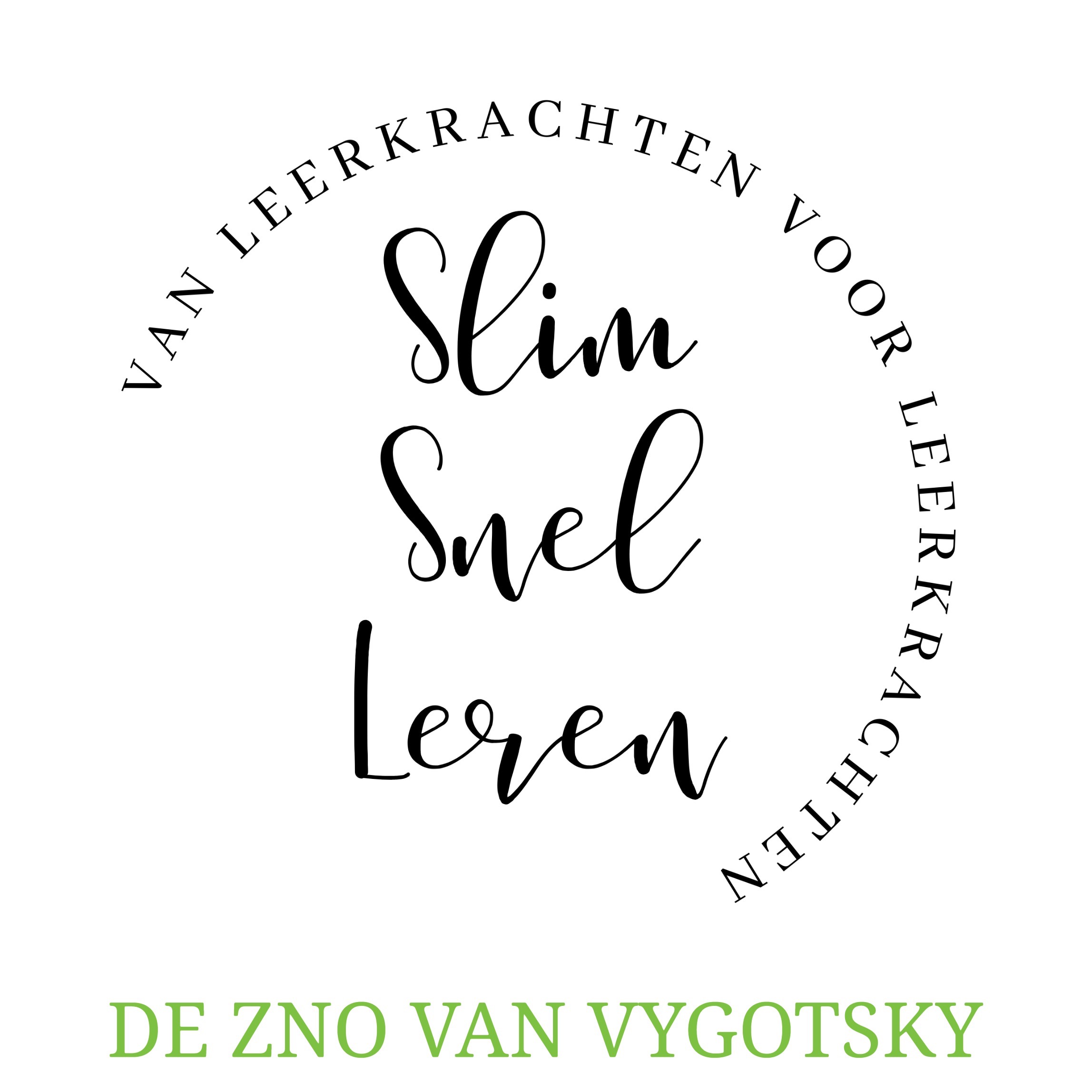 DE ZONE VAN NABIJE ONTWIKKELING/LEV VYGOTSKY episode artwork