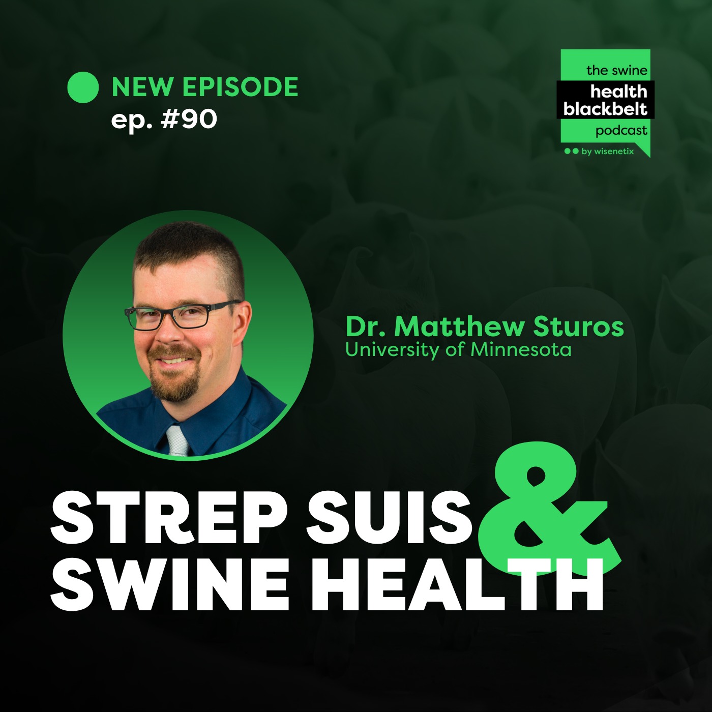 Matthew Sturos: Strep suis and Swine Health | Ep. 90