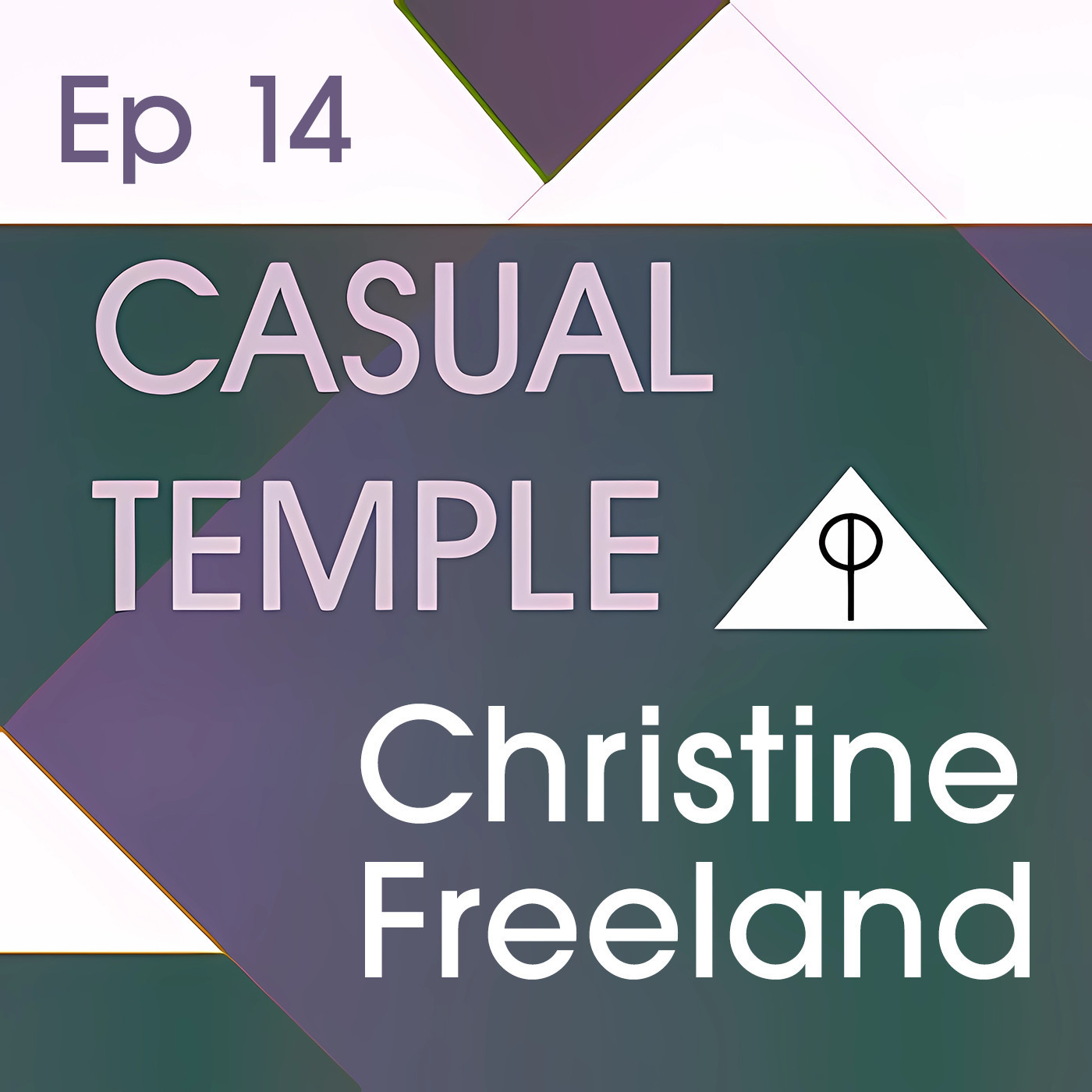CT 14: Explore Skepticism's VITAL Role in Subtle Energy REIKI HEALING with Christine Freeland