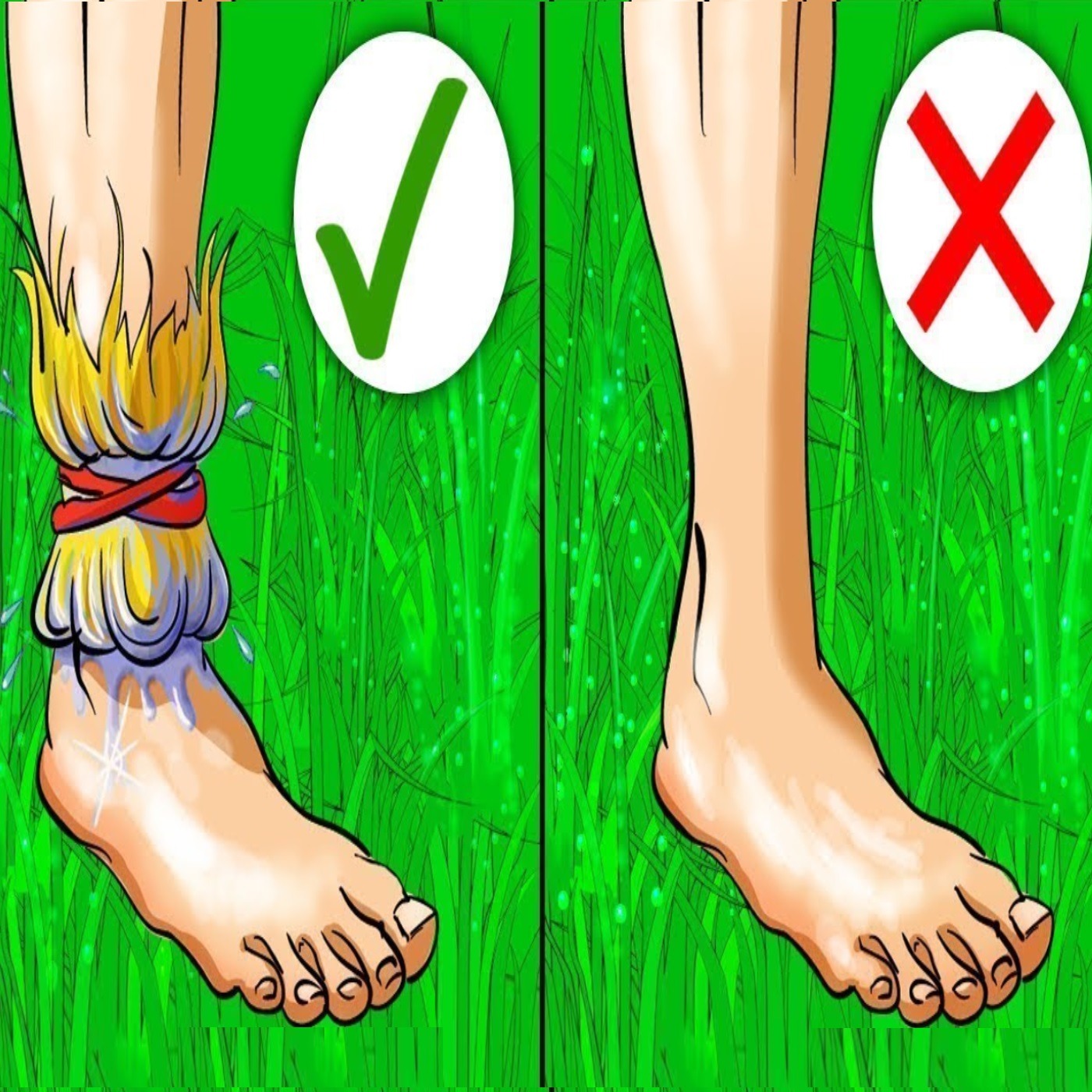 Tips That Could Save Your Life If You Get Lost In The Wilderness