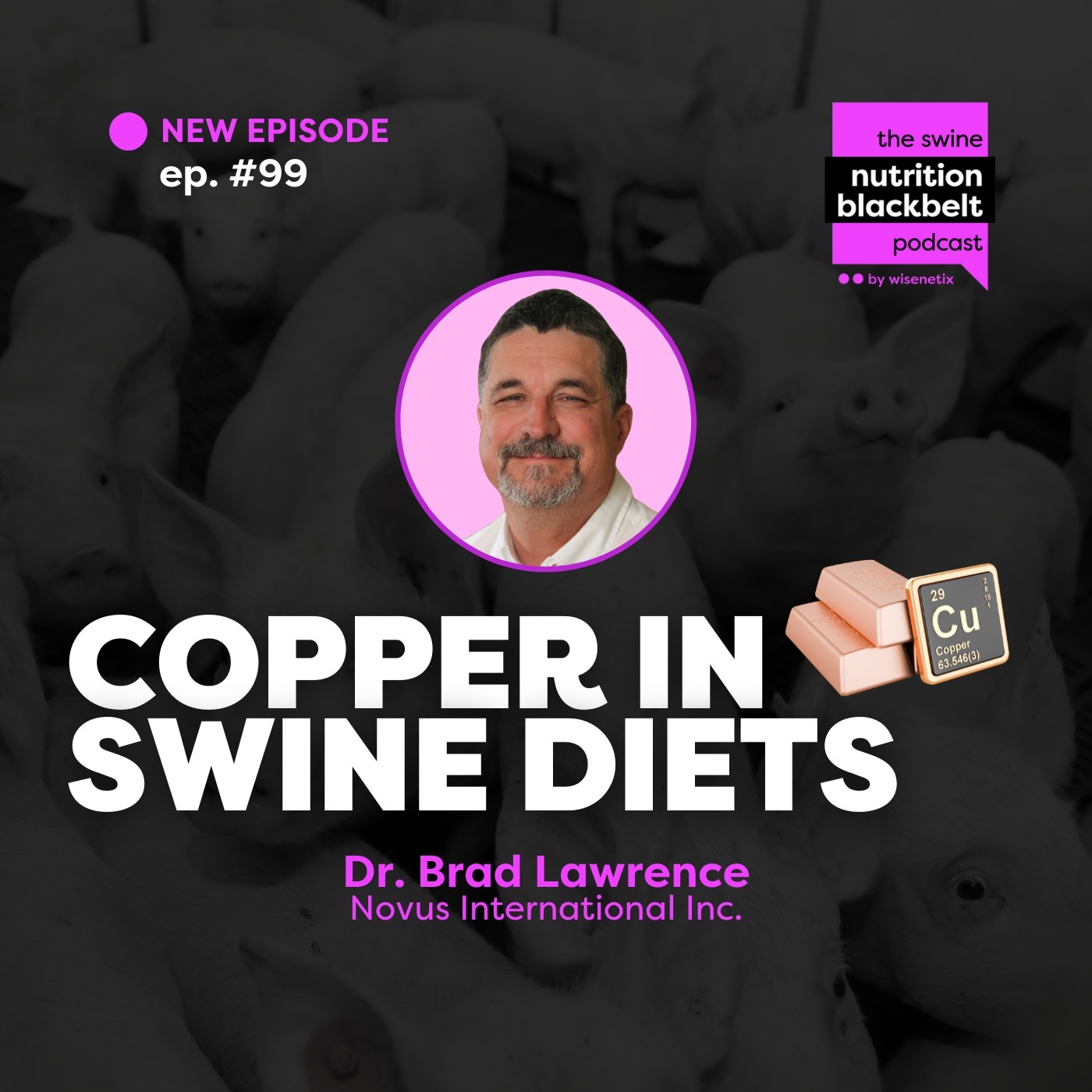 Dr. Brad Lawrence: Copper in Swine Diets | Ep. 99