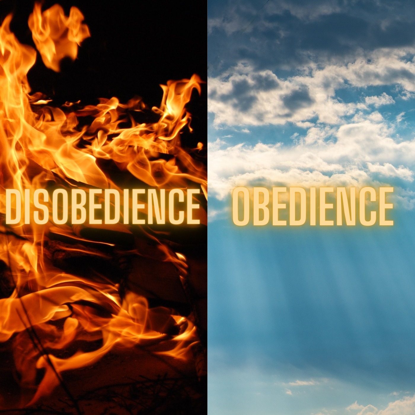 Without Disobedience There is NO Need For God’s GRACE and MERCY! ~ Episode #24 ~ Romans 11:25-36 episode artwork
