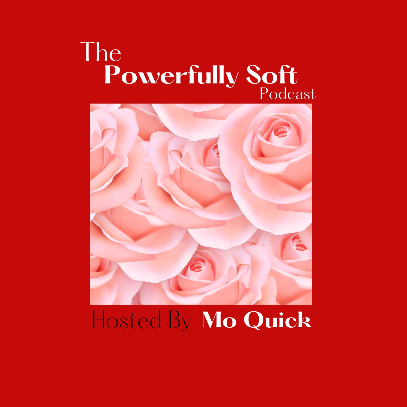 The Powerfully Soft Podcast podcast artwork