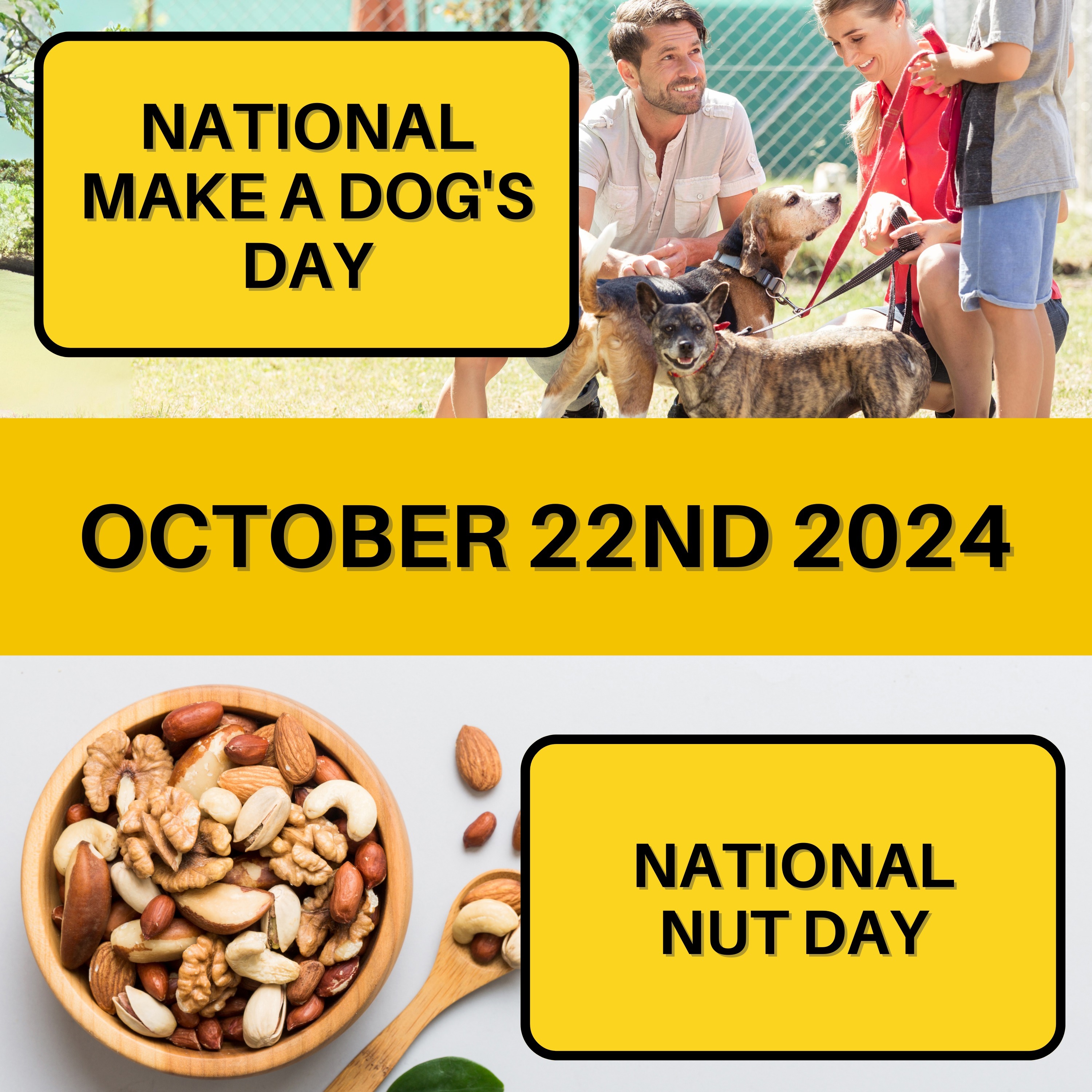 National Make a Dog's Day & National Nut Day