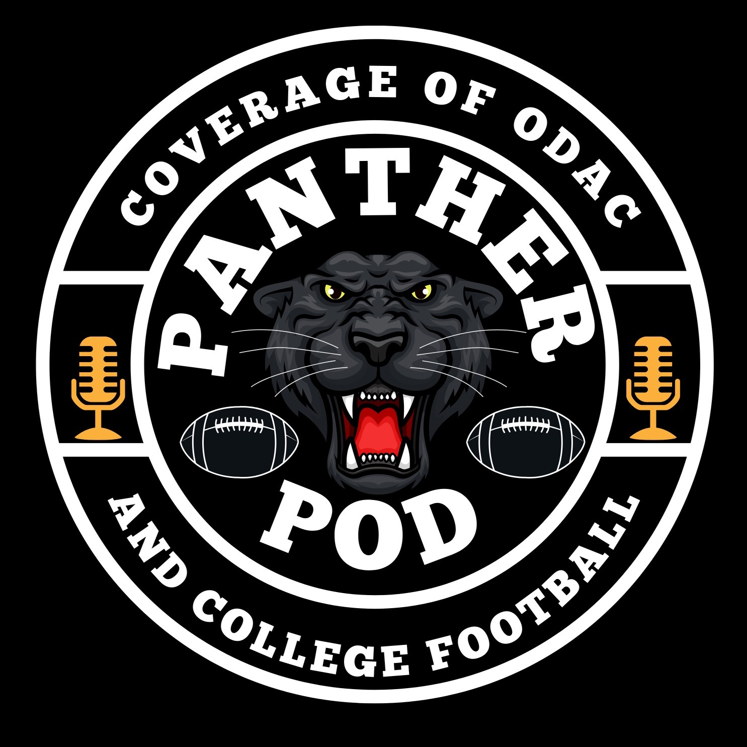 The PantherPod