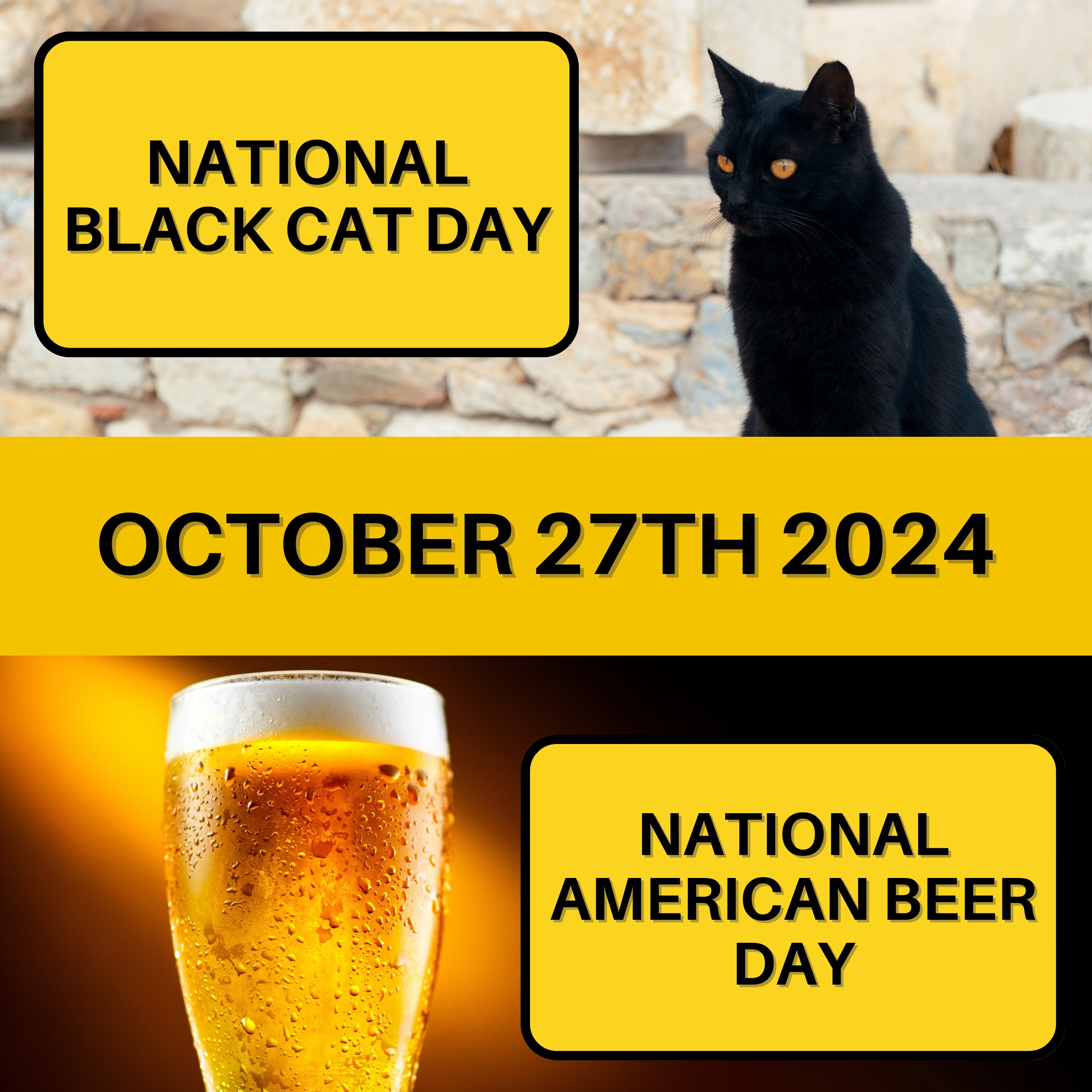 National Black Cat Day & American Beer Day