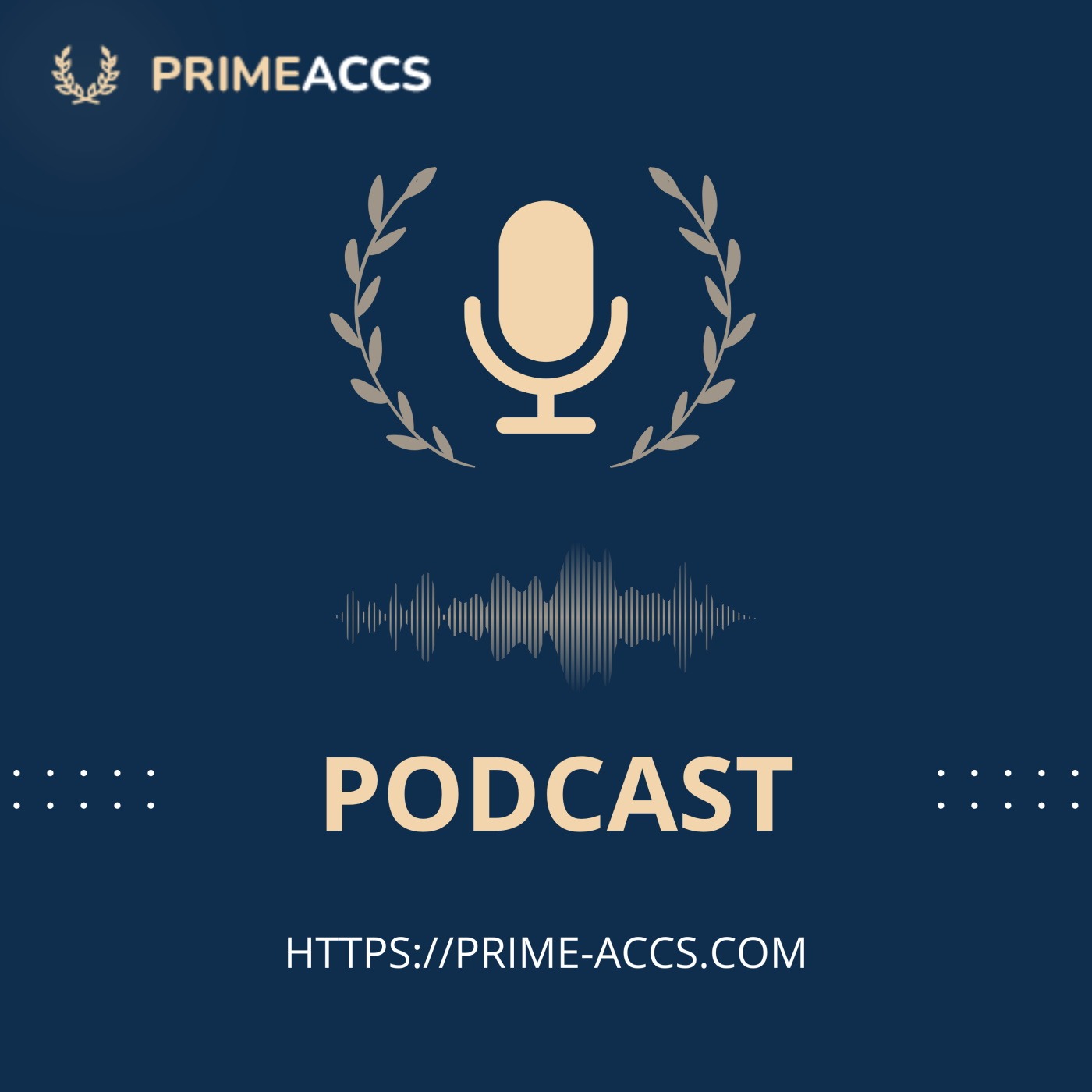 Prime Accs Podcast podcast artwork