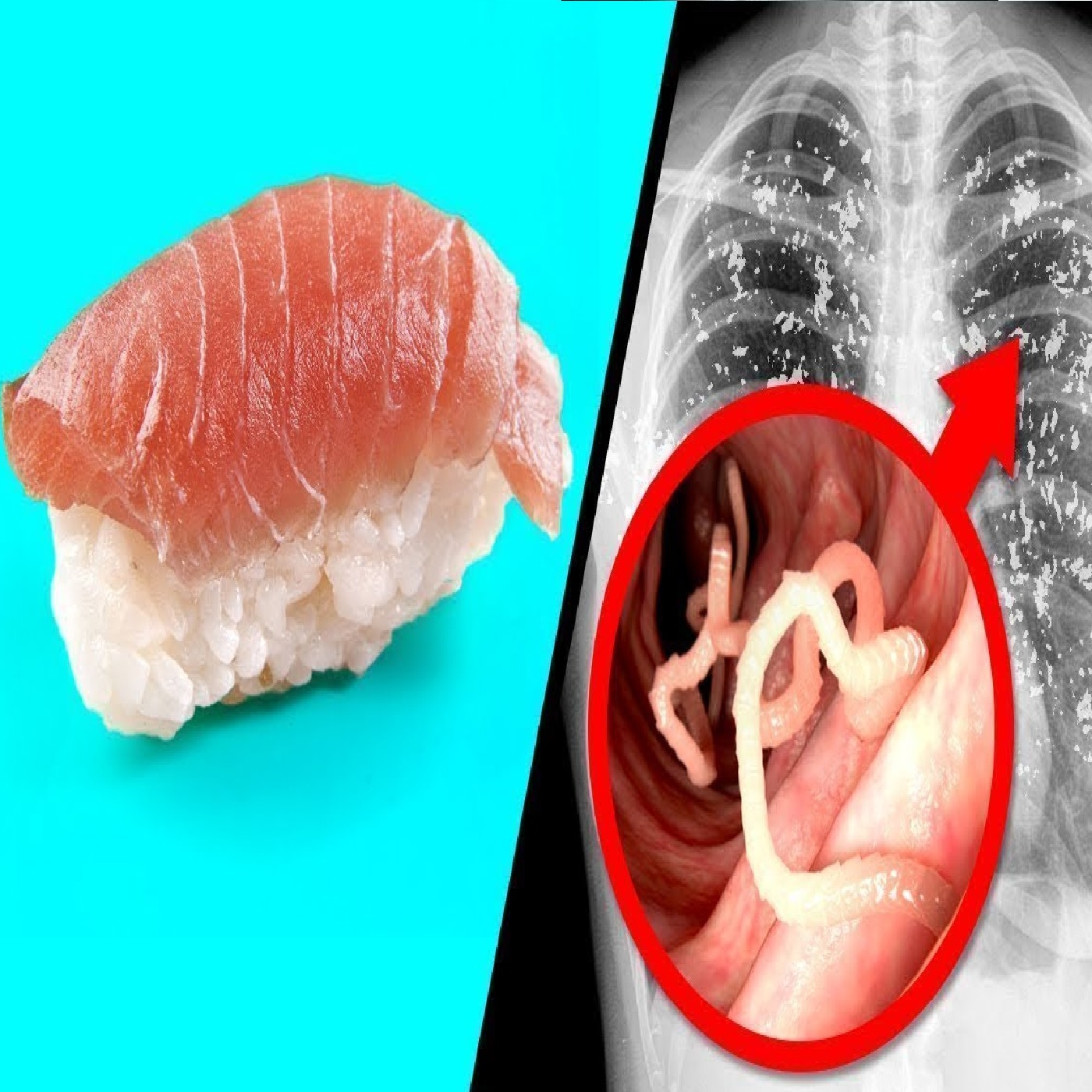 Most Harmful Foods People Keep Eating