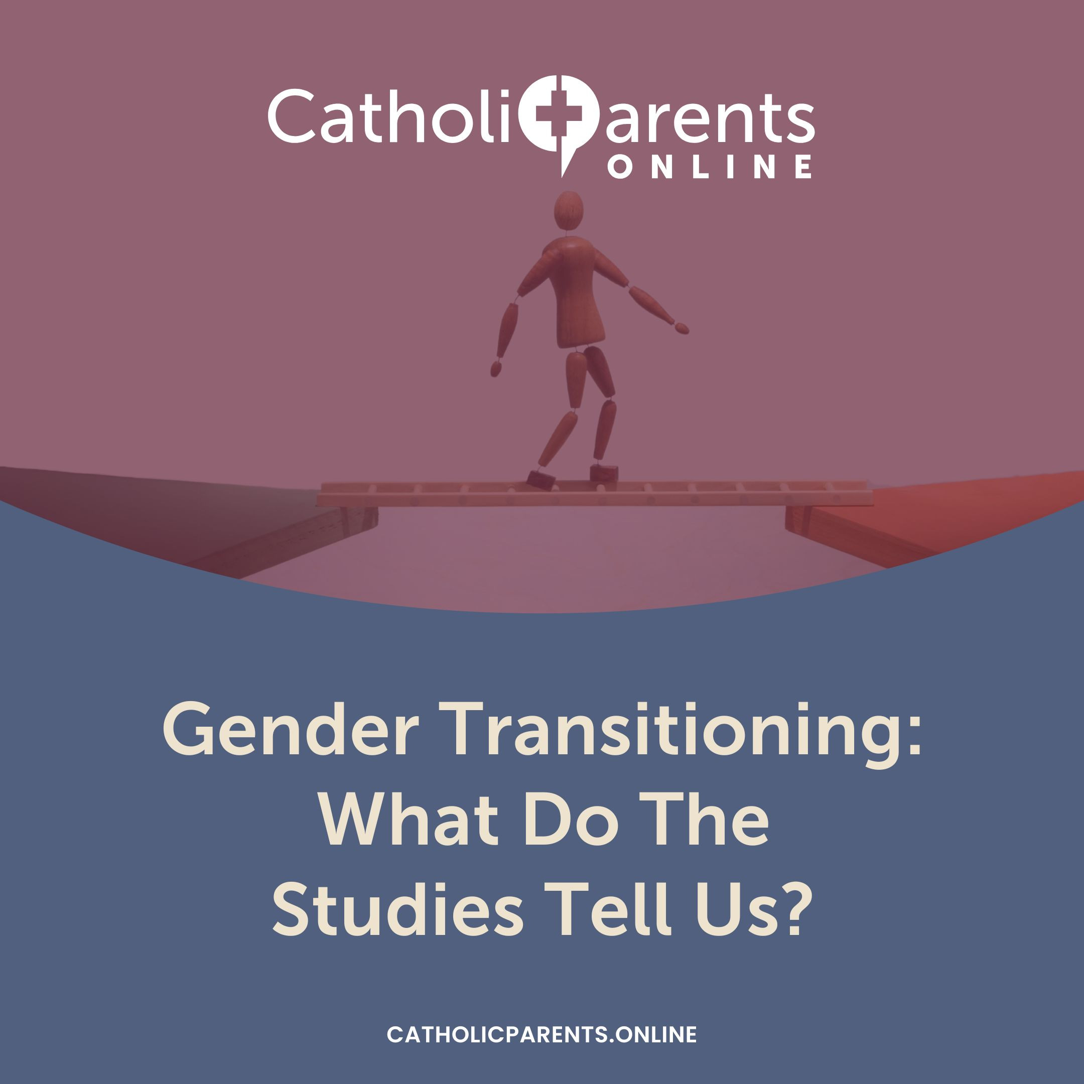 60: Gender Transitioning – What Do the Studies Tell Us? episode artwork