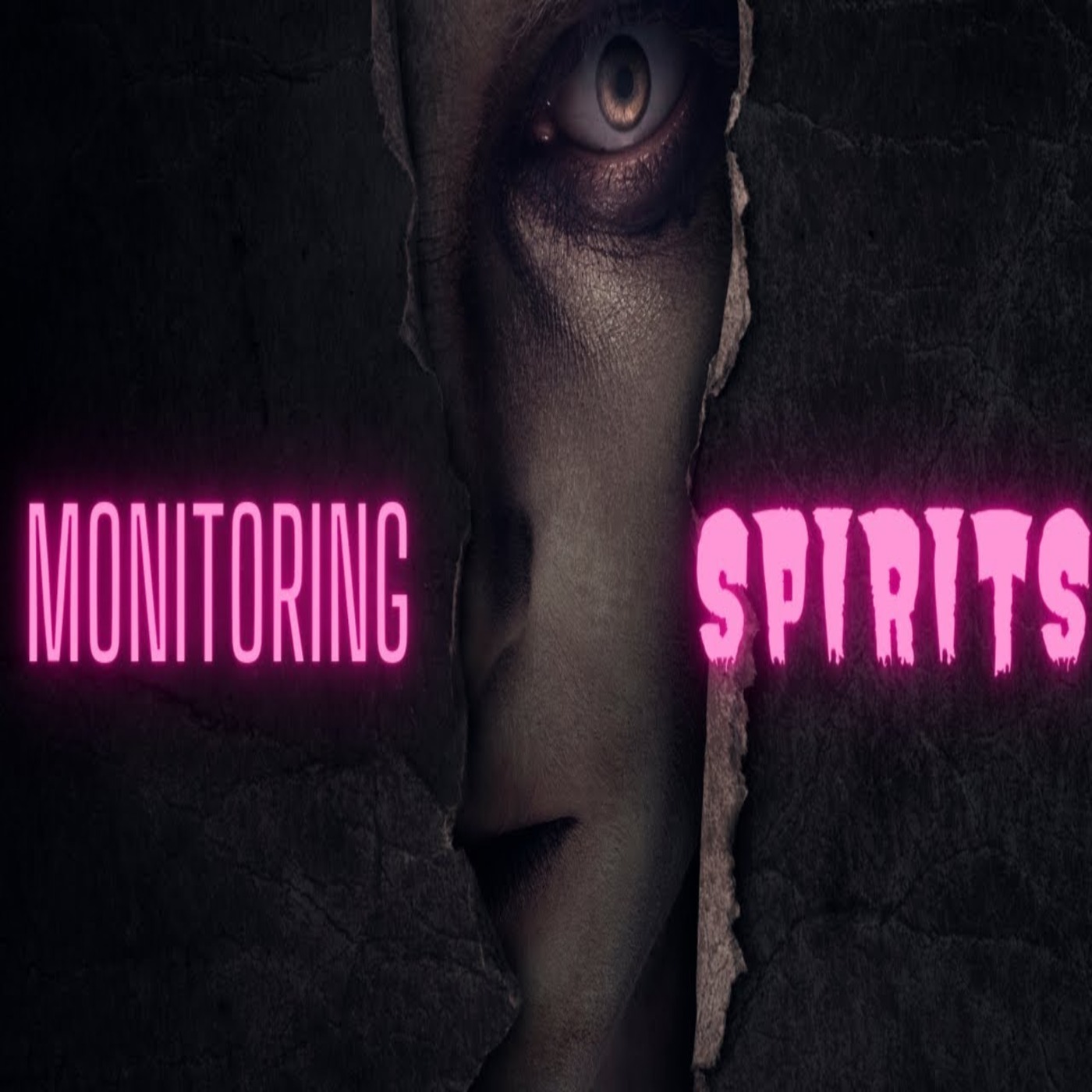 Monitoring Spirits