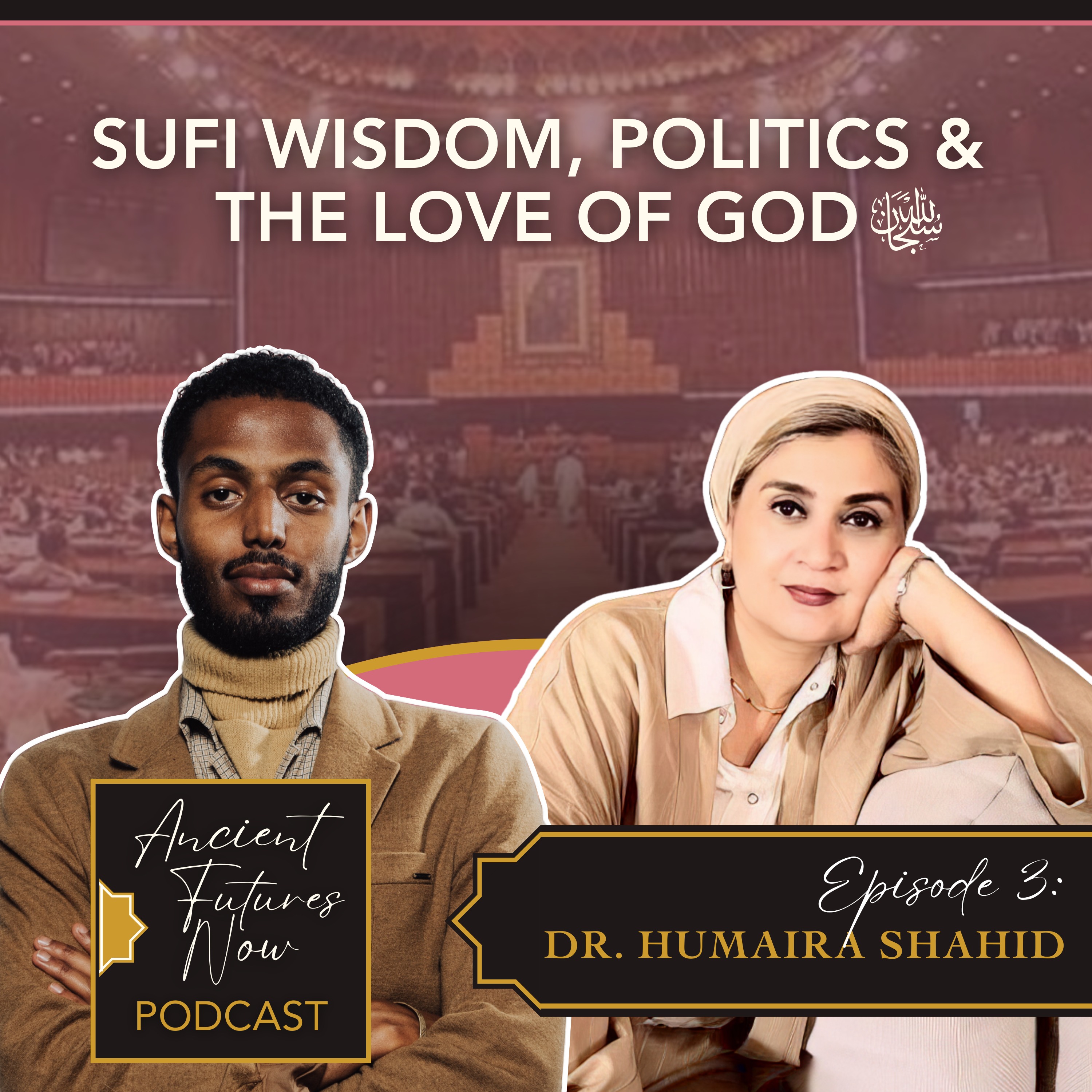 DR. HUMAIRA SHAHID - Sufi Wisdom, Politics and the Love of God episode artwork