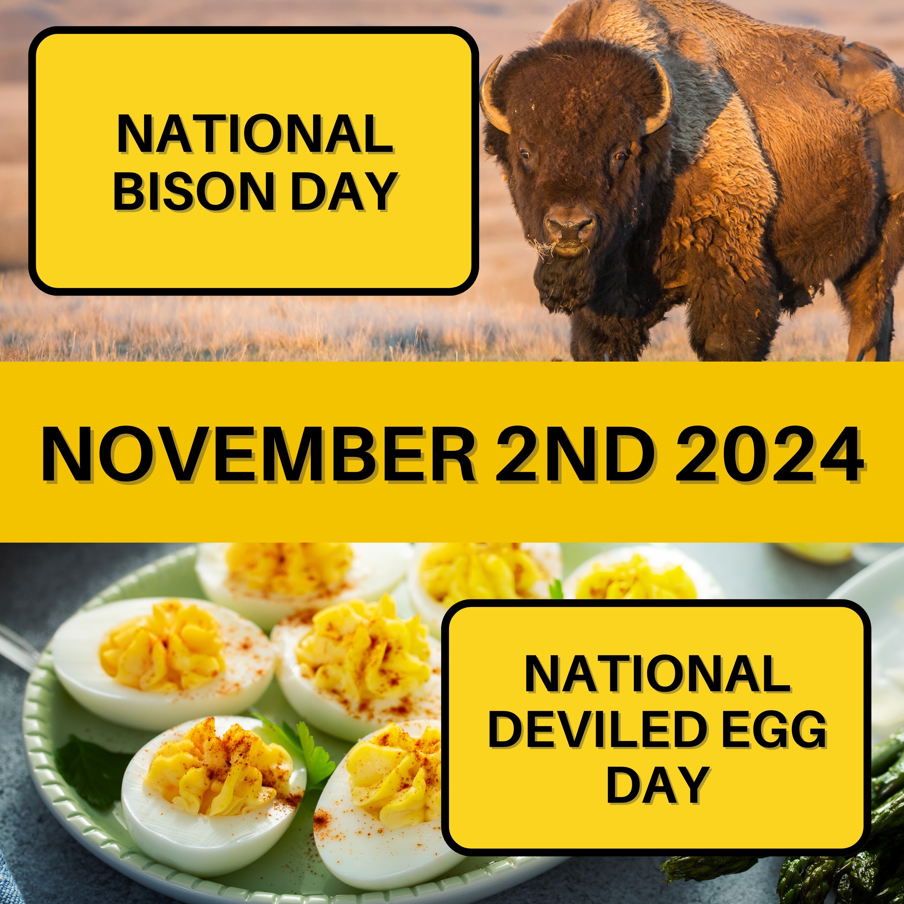 National Bison Day & National Deviled Egg Day