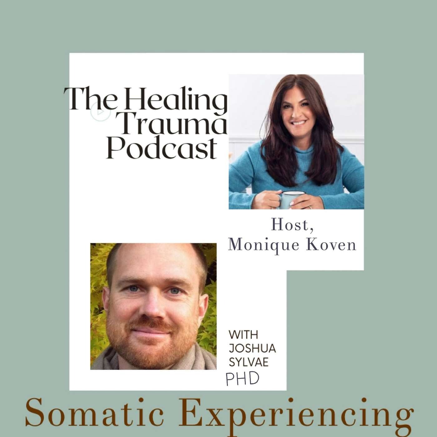 The Healing Trauma Podcast