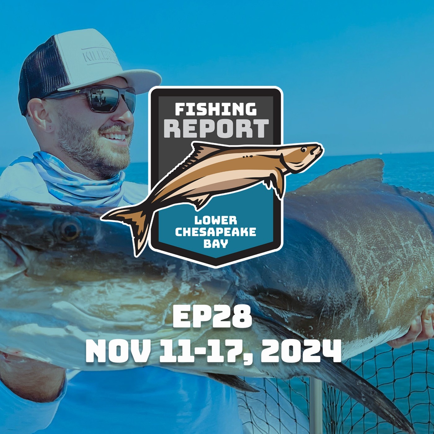 November 11-17, 2024