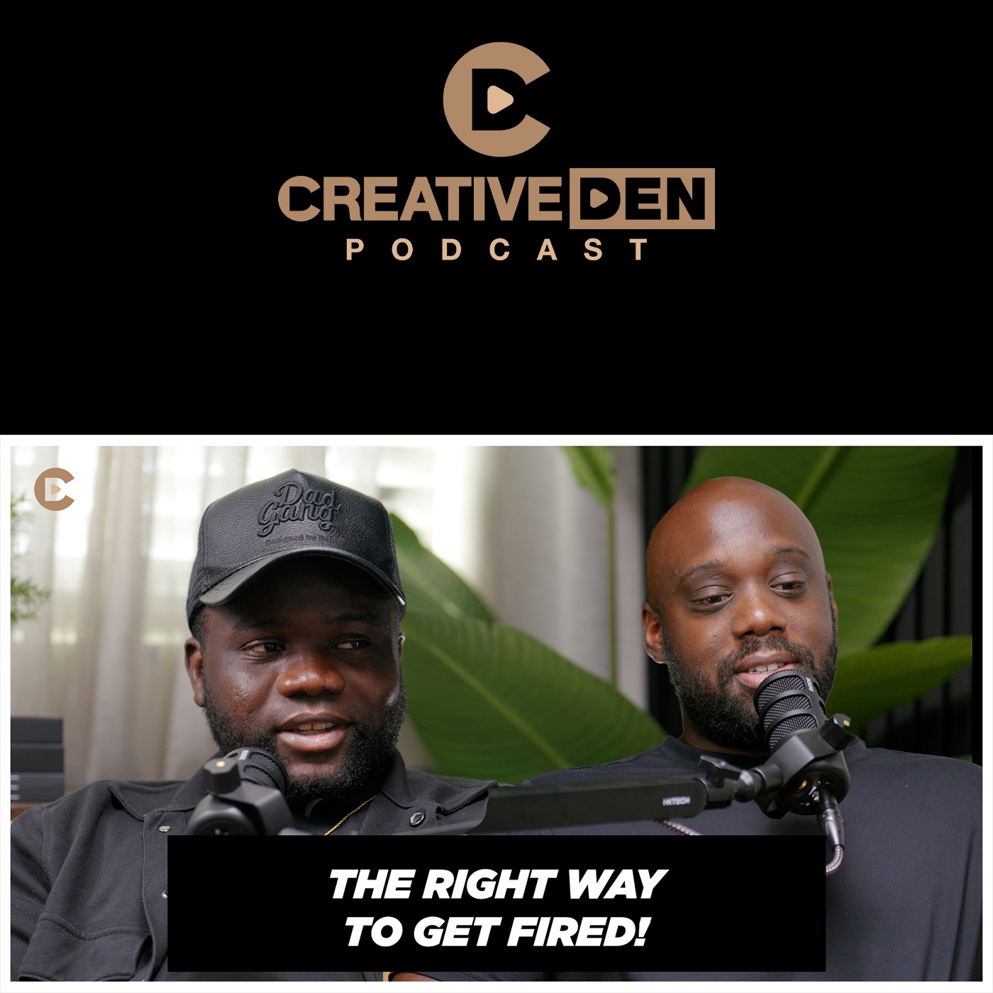 The Creative Collection Pod