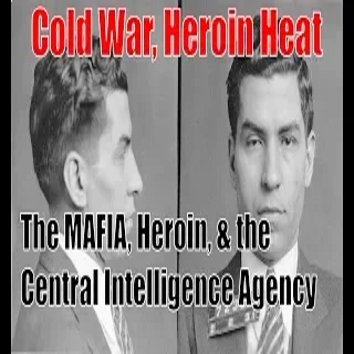 CIA Origins: Mafia & Heroin episode artwork